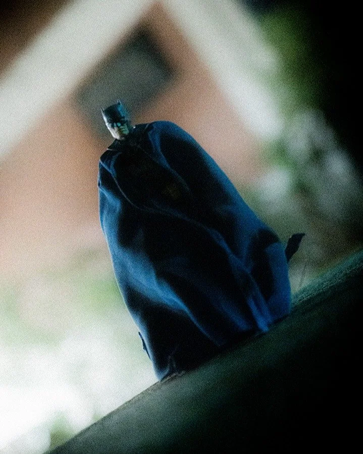 Knight And Day by Willie Wilson
(Portraits)

#toyphotography #toyart #figure #dccomics #batman #portrait #photography