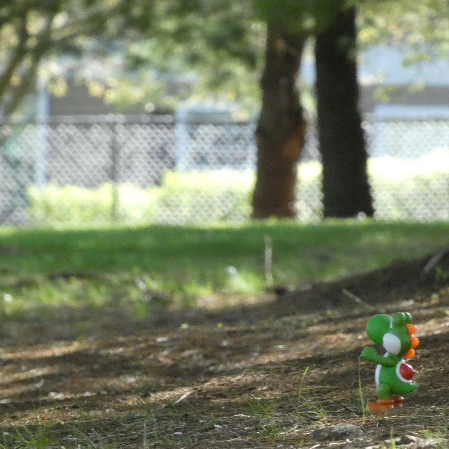 Fantasy in Reality Pt.2

#fantasyinreality #videogames #yoshi #metroid #metroiddread #minecraft #green #sand #toyphoto #actionﬁgurephotography