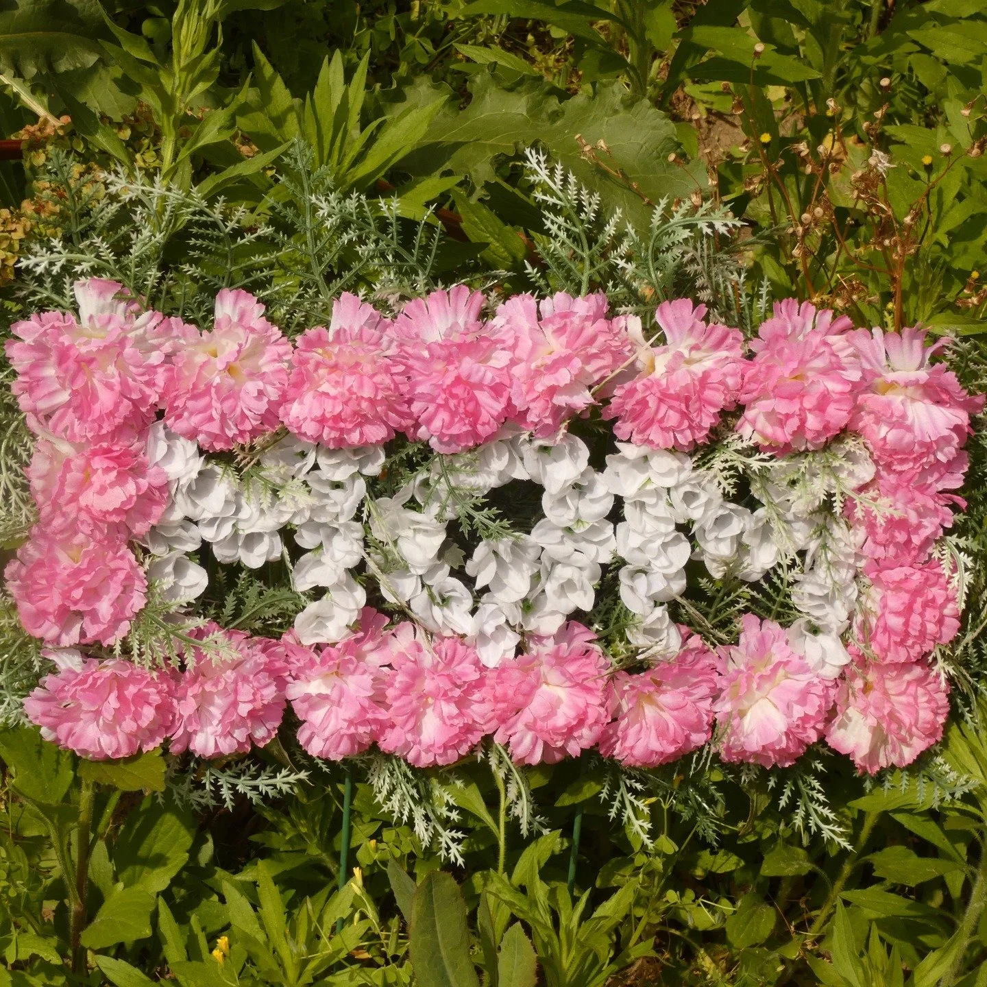 Happy Mother's Day to the Moms that overcome adversity to raise their children!

#motherday #photoftheday #photography #flowers #green #nature