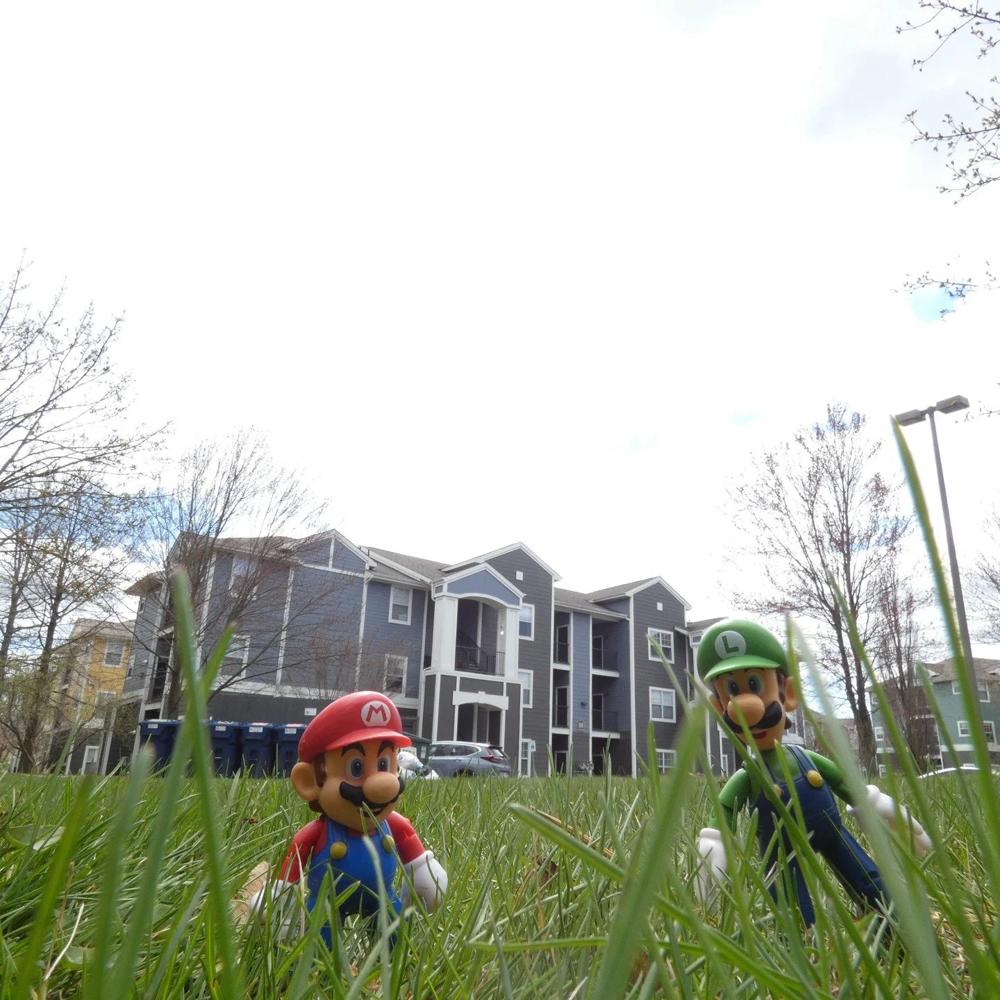 Fantasy in Reality
#supermariobros #sonicthehedgehog #yoshi #photography #actionfigurephotography
#toyphoto