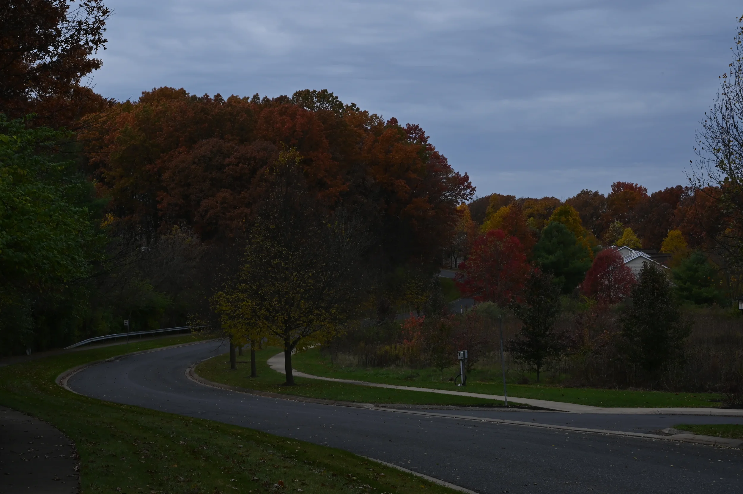 DSC_1528.webp