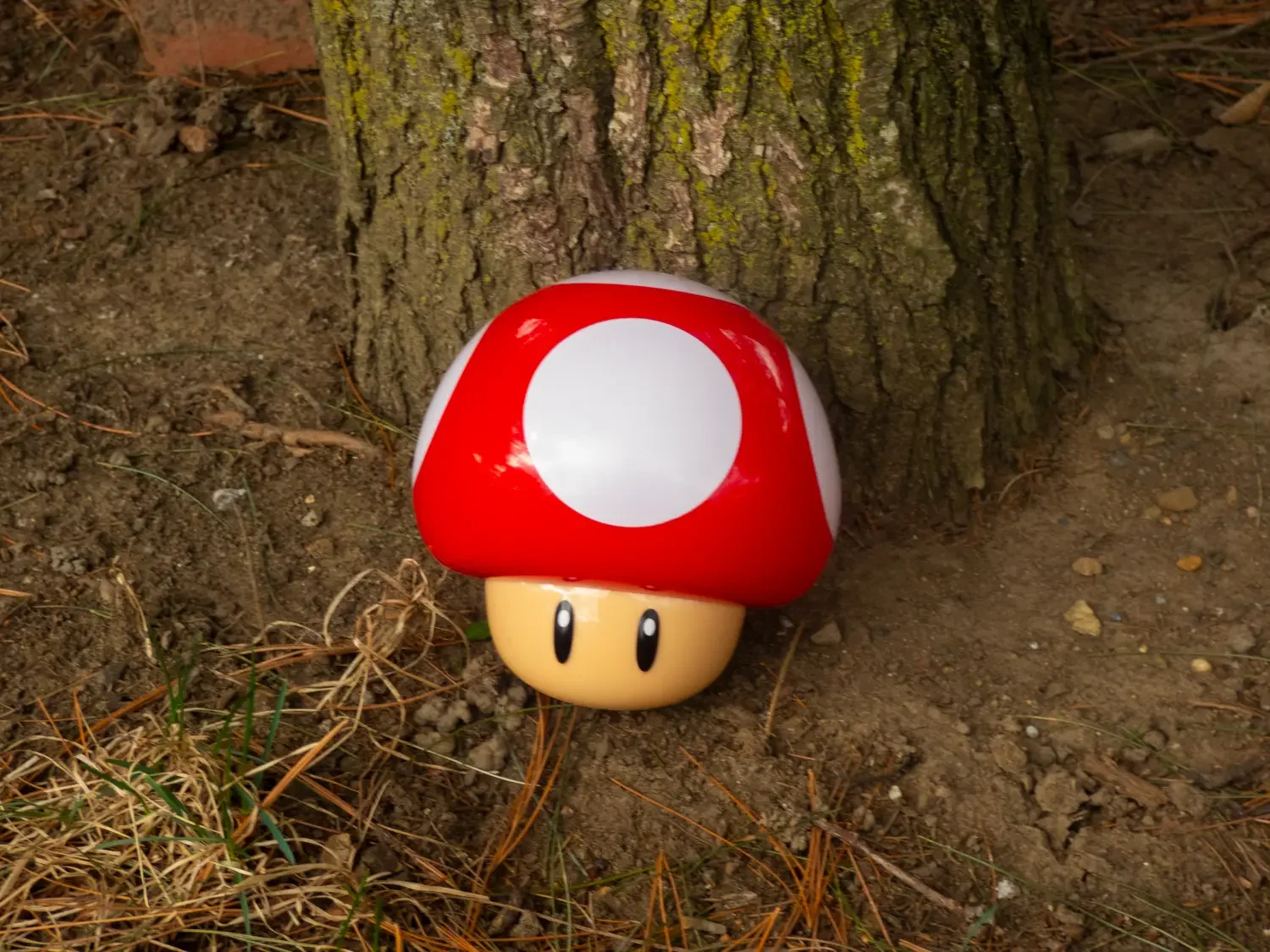 Mario Mushroom IRL.webp