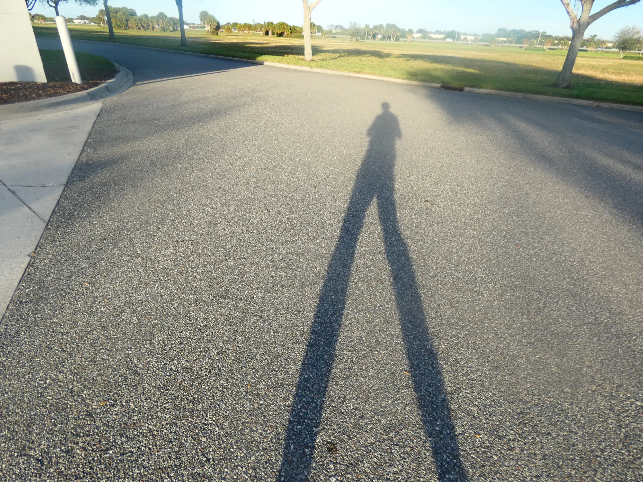 P1200791.webp