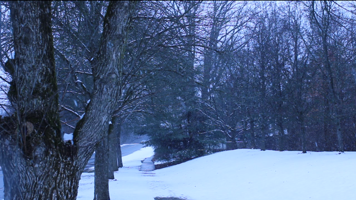 Videography