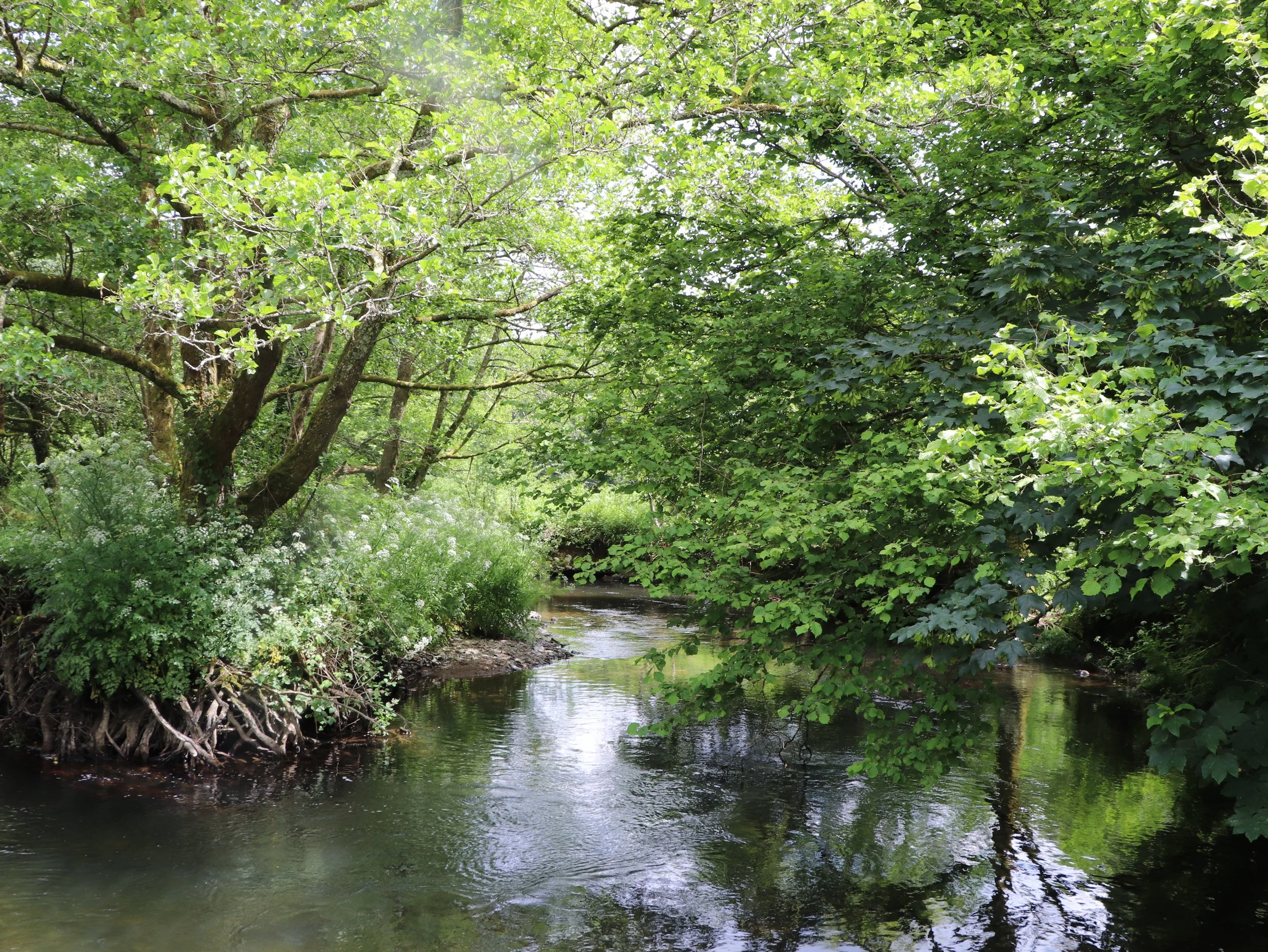 Discover Exceptional Fishing Stays