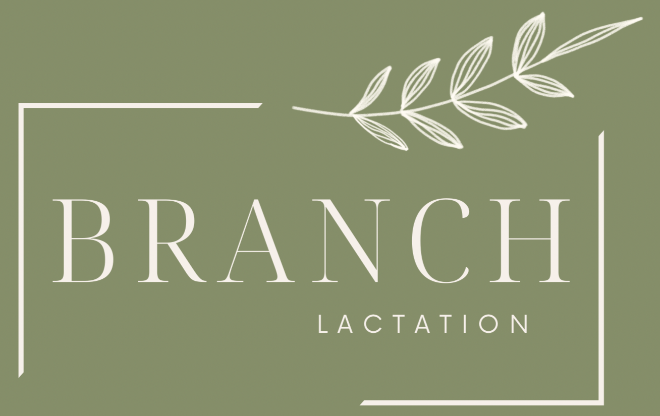 Lactation Consultant in Fulshear Texas