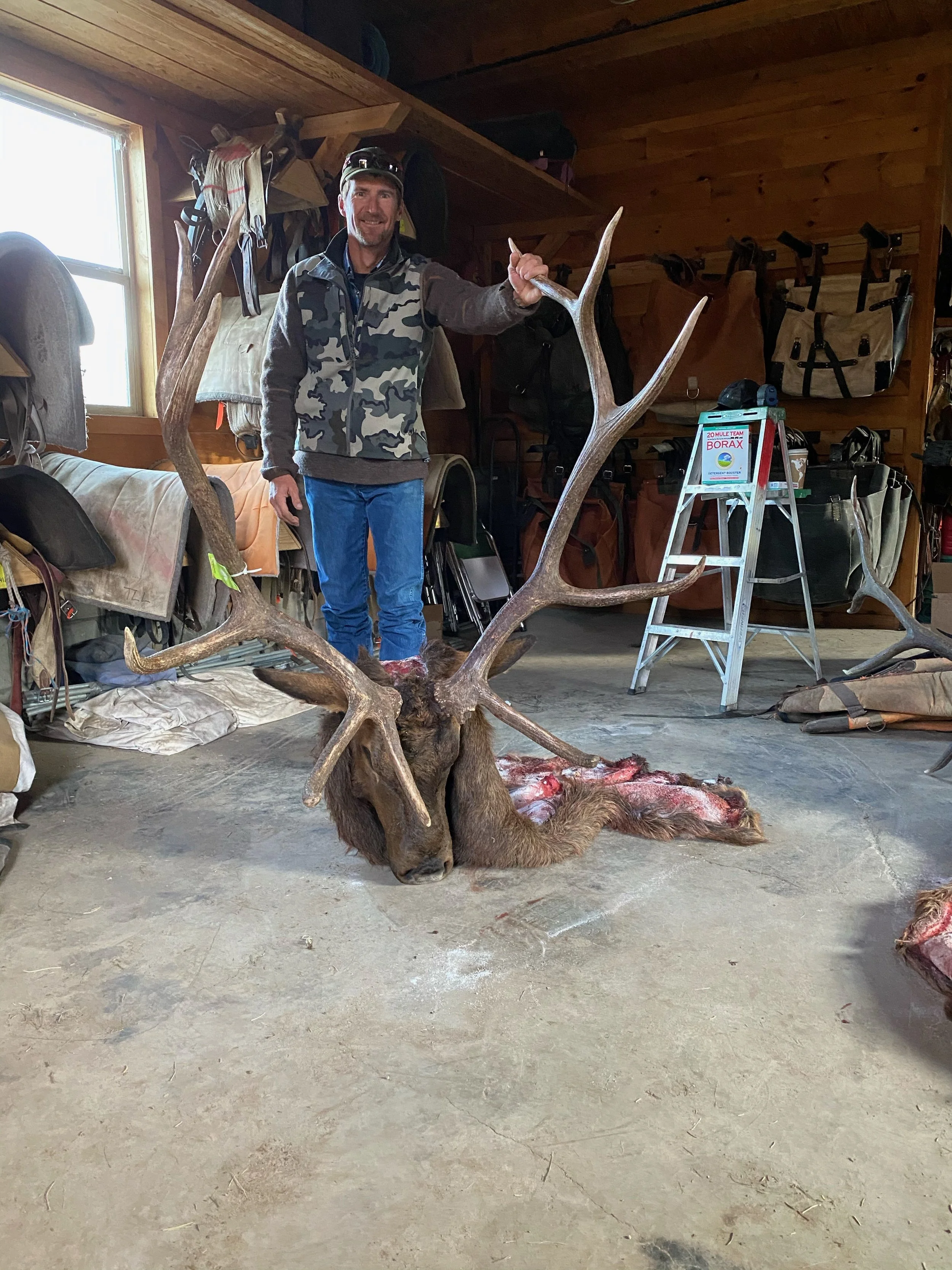 A man standing inside a wooden cabin holding a large deer antler in front of a mounted deer head on the floor. The cabin has wooden walls, shelves with bags and gear, and a window letting in natural light.