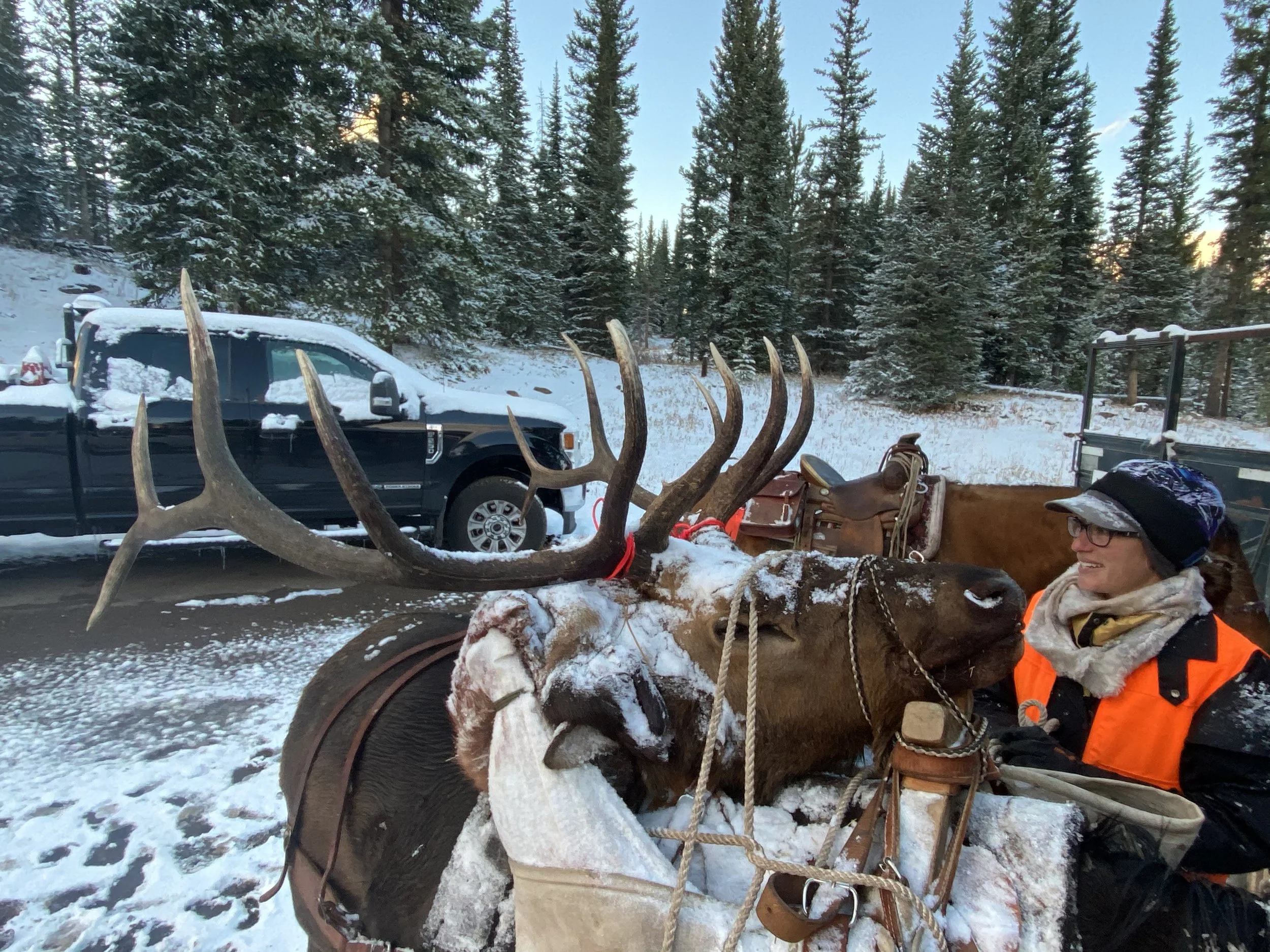 A snow-covered outdoor scene with a large deer or elk head mounted on a platform, surrounded by various outdoor gear, including a horse wearing a saddle and bridle, a black pickup truck with snow on its hood, and a forest of evergreen trees in the ba