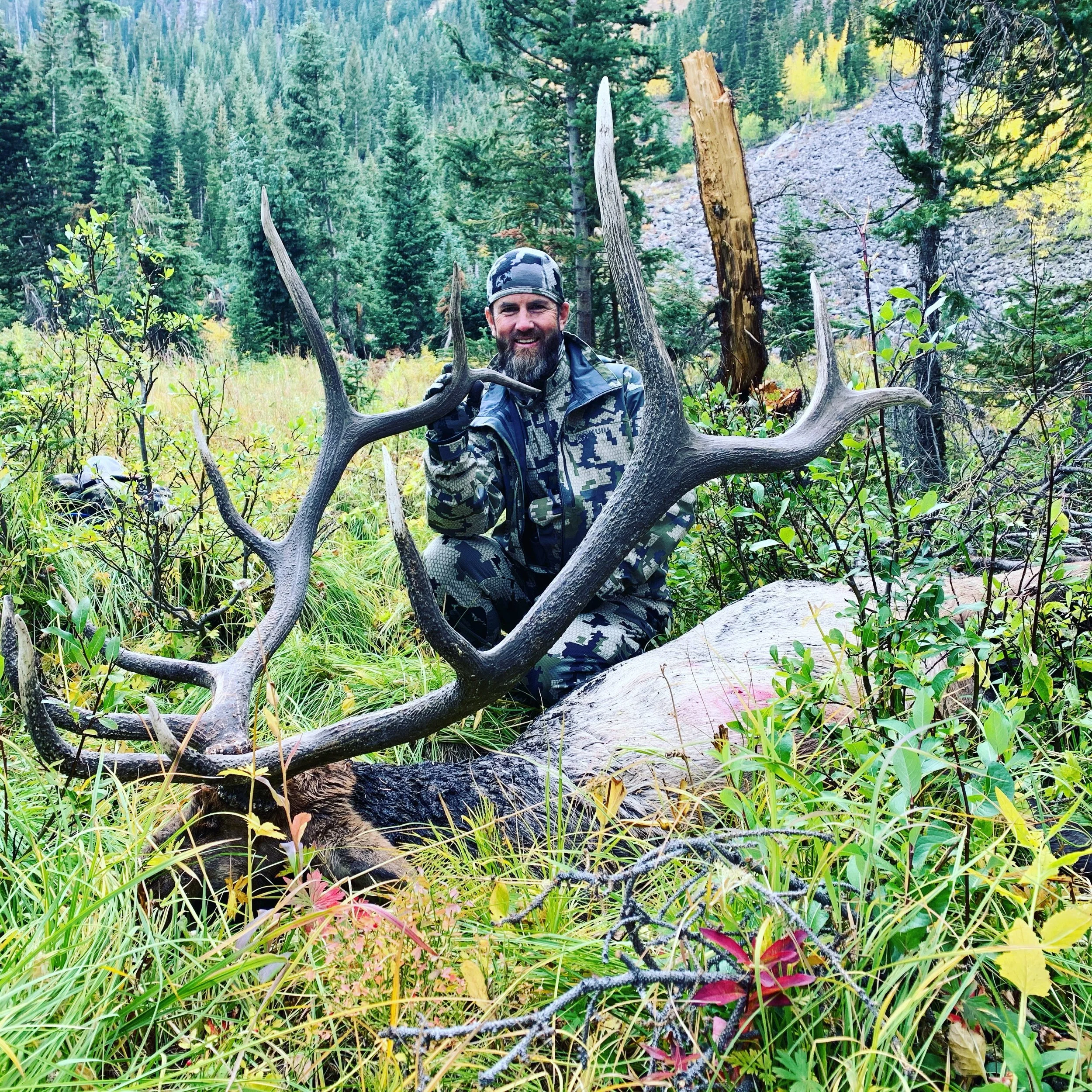 A smiling man in camouflage clothing and a cap kneels among green bushes and tall grass in a forest, holding the antlers of a large elk lying on the ground. The background features dense green pine trees and a rocky hillside.