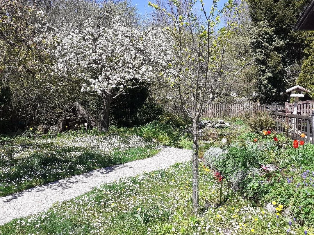 garten2 Imkerei Robert Kastner und Yadi Supriadi  Isartal-Honig.de