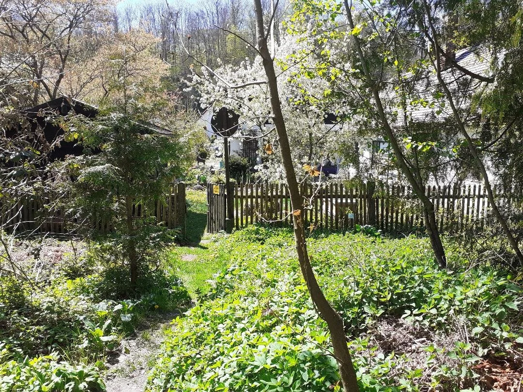 garten3 Imkerei Robert Kastner und Yadi Supriadi  Isartal-Honig.de