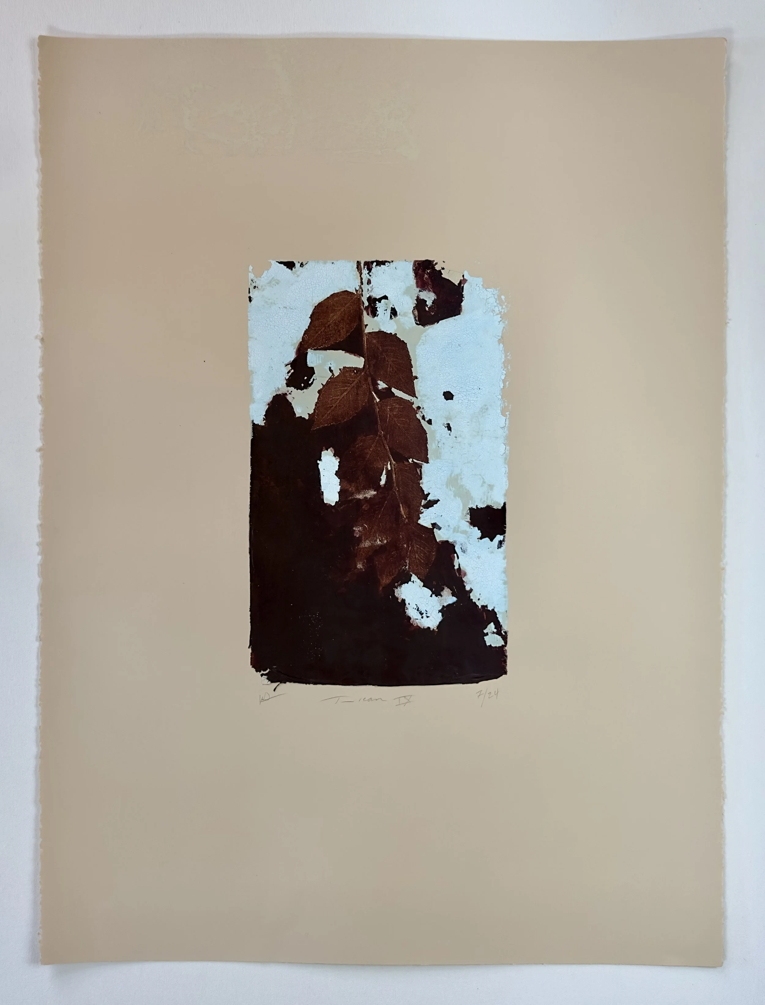 Dream IX (2).jpg