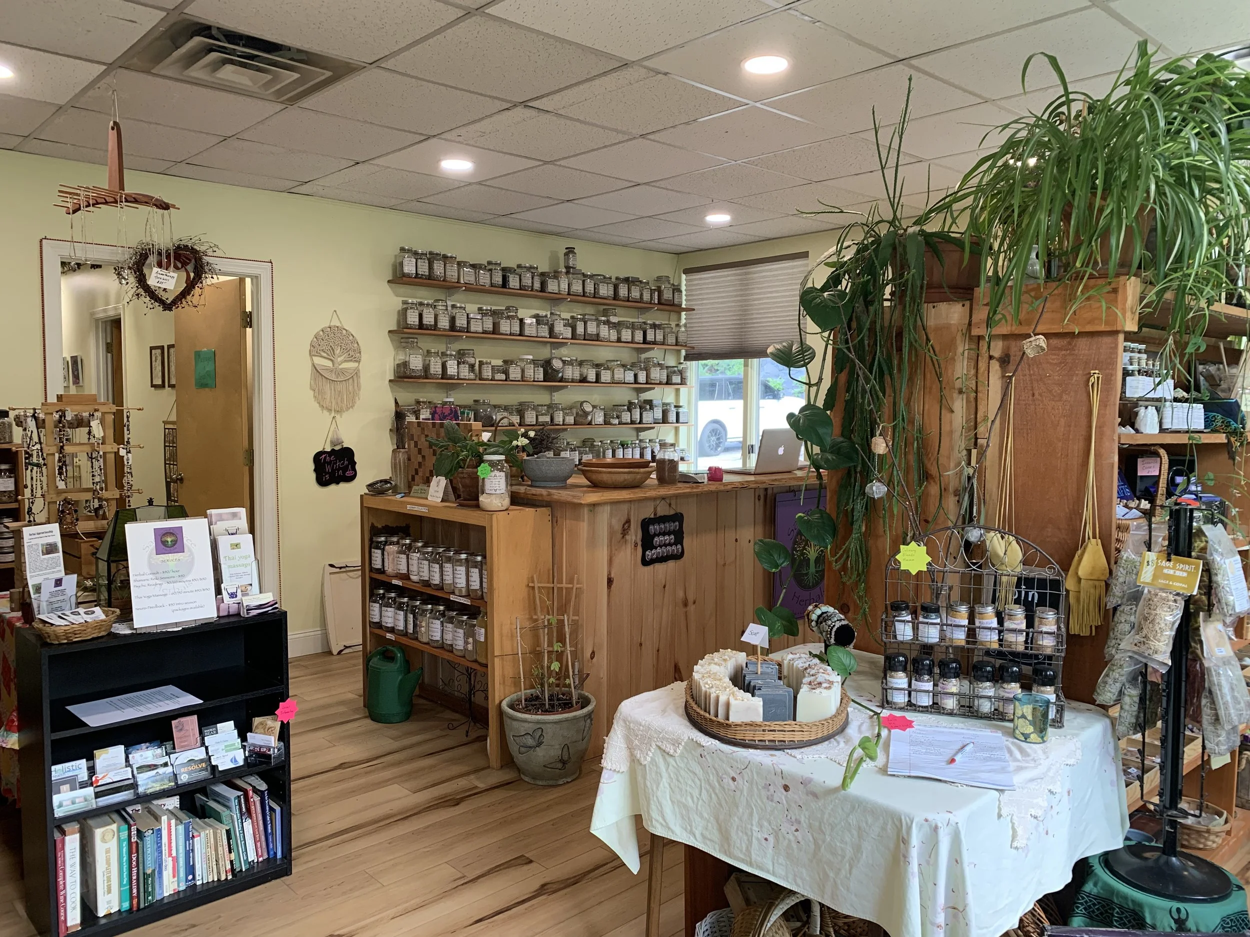 Interior of a store with shelves of jars, a table with soap bars, a bookshelf with books, and various plants.
