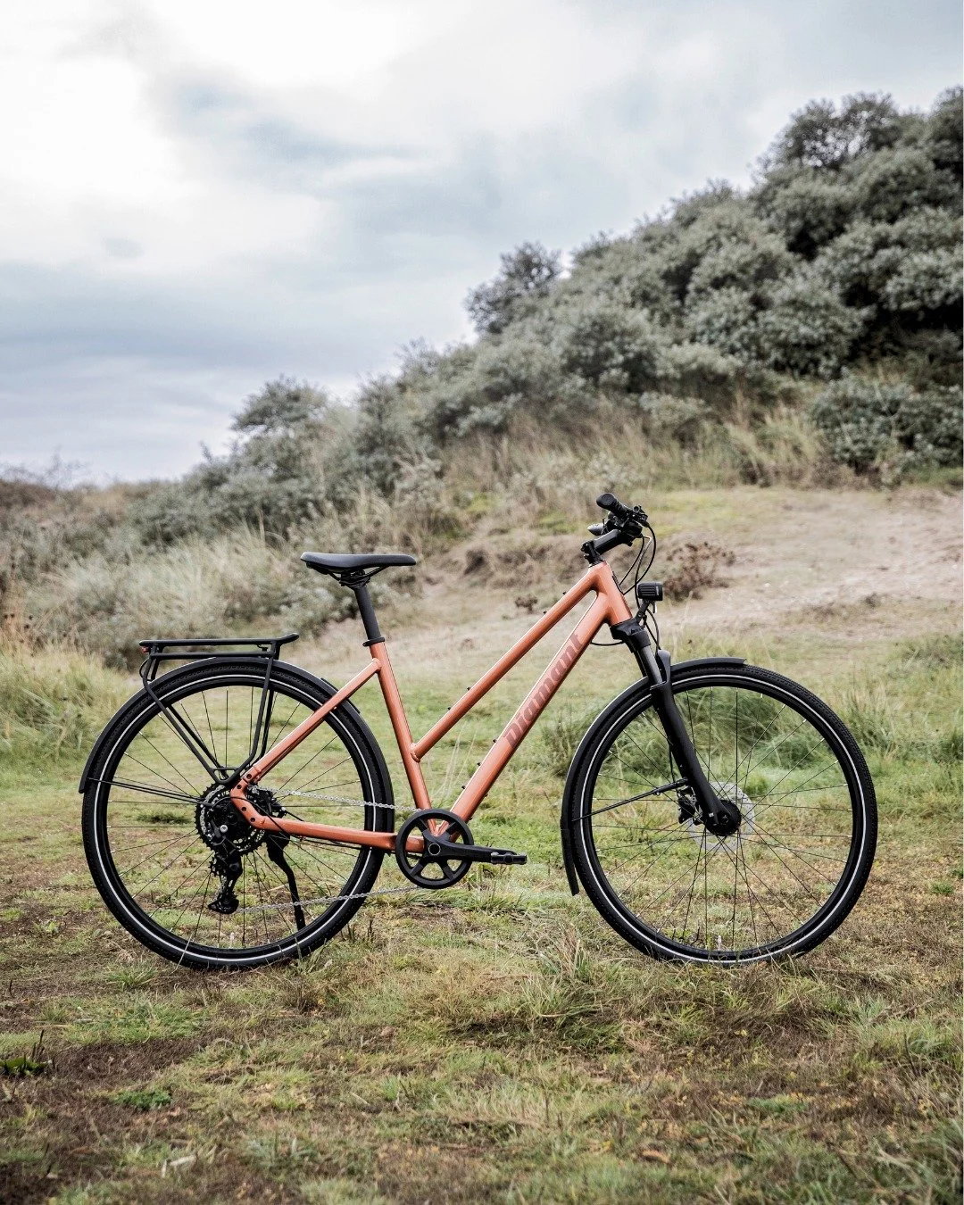 Ob im Alltag oder f&uuml;r den Ausflug - das Mahon von @diamantrad begleitet dich zuverl&auml;ssig auf jedem Weg. Mit dem flexiblen Rahmen und dem Clever Rack hast du alles dabei, was du brauchst. Lust auf eine Probefahrt? Dann komm vorbei in unseren