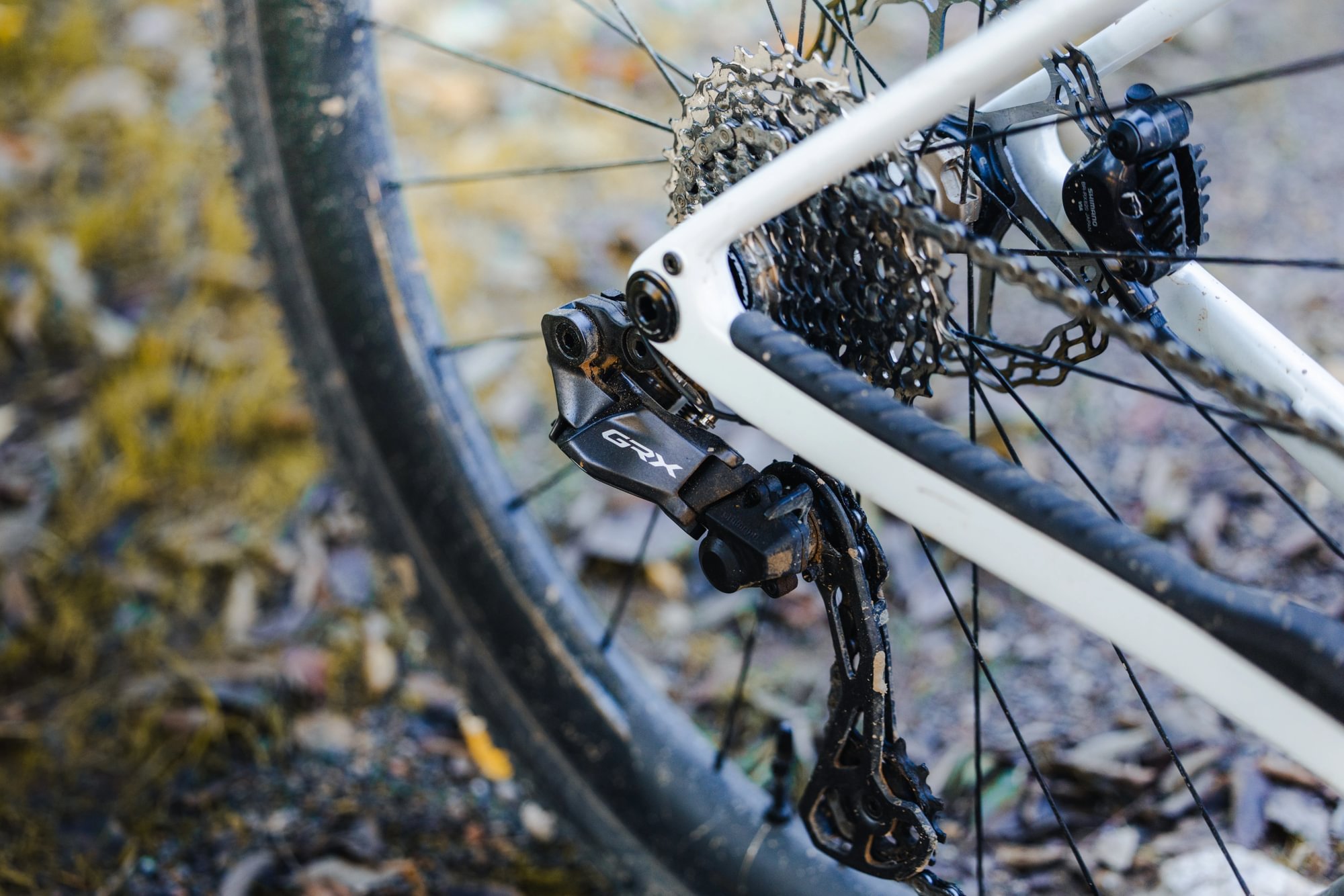 Nahaufnahme eines Fahrradschaltwerks und Kettenblatts an einem Fahrrad, das am Boden liegt, mit Blättern und Erde im Hintergrund.