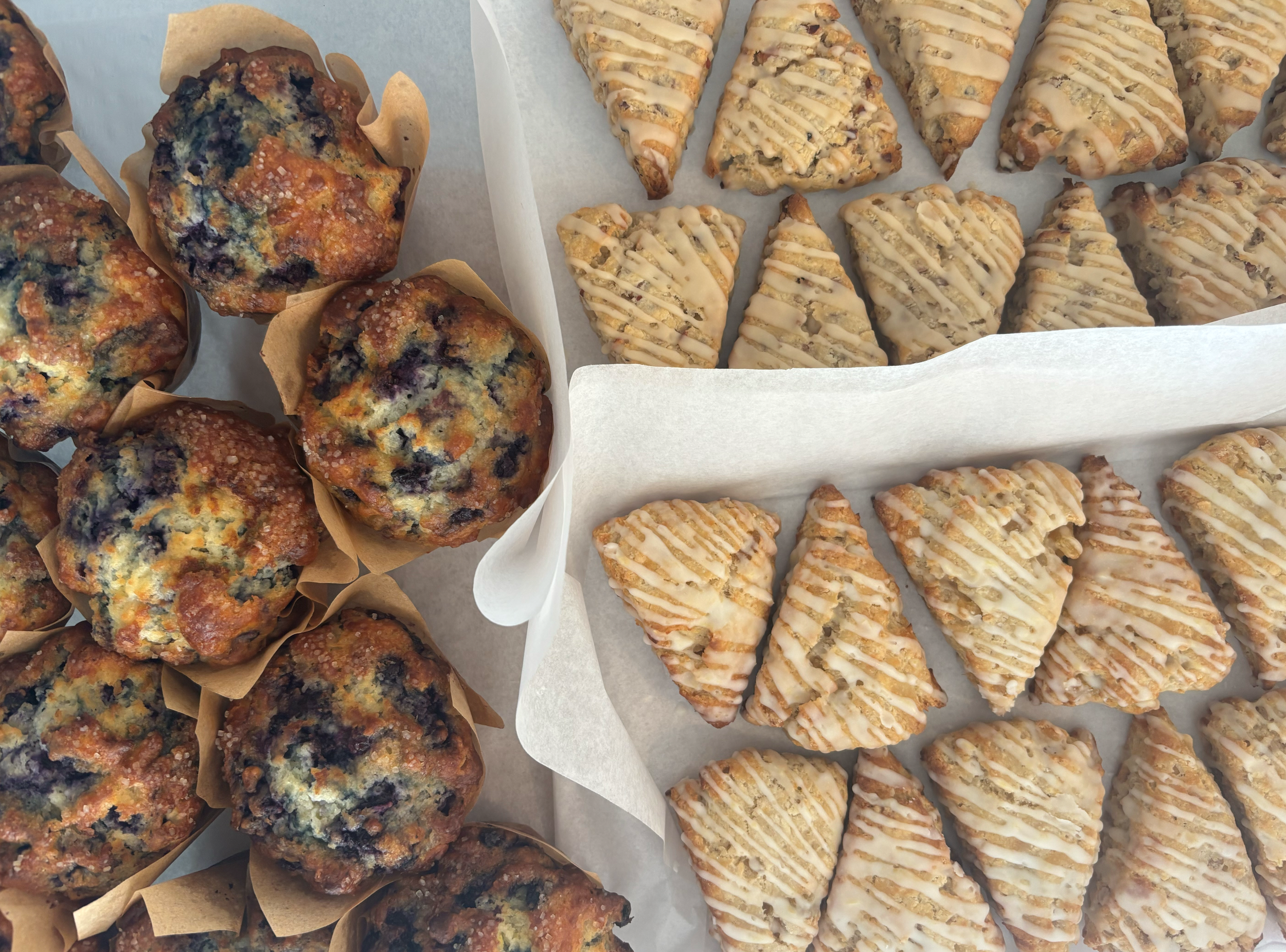 Screenshot 2026-04-01 at 1.42.32 PM.png