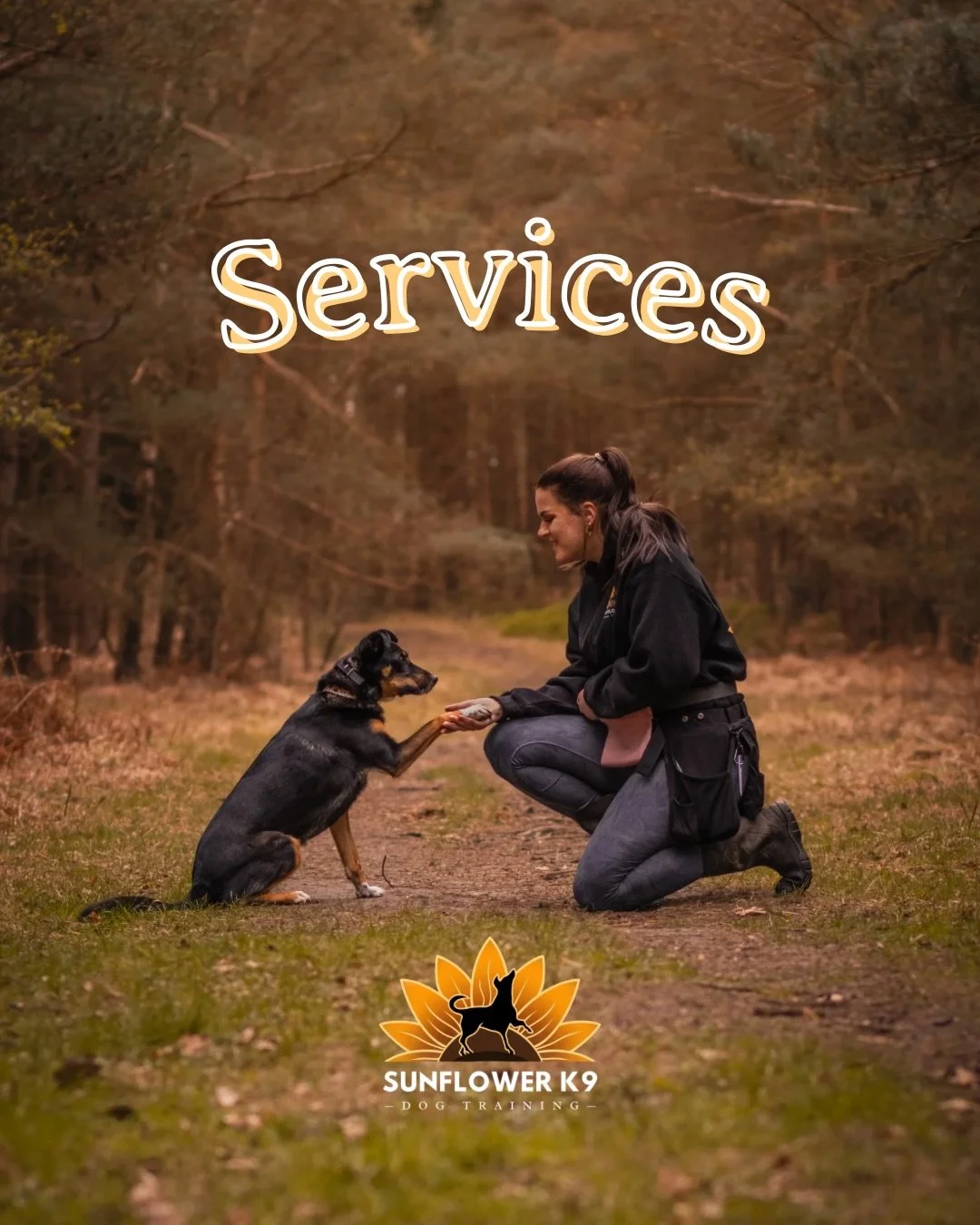 Current services offered at Sunflower K9 🌻

Each service is tailored to you and your dog&rsquo;s learning requirements, designed to meet you where you are in your journey and help you find the right path to grow and flourish together.

Whether you h