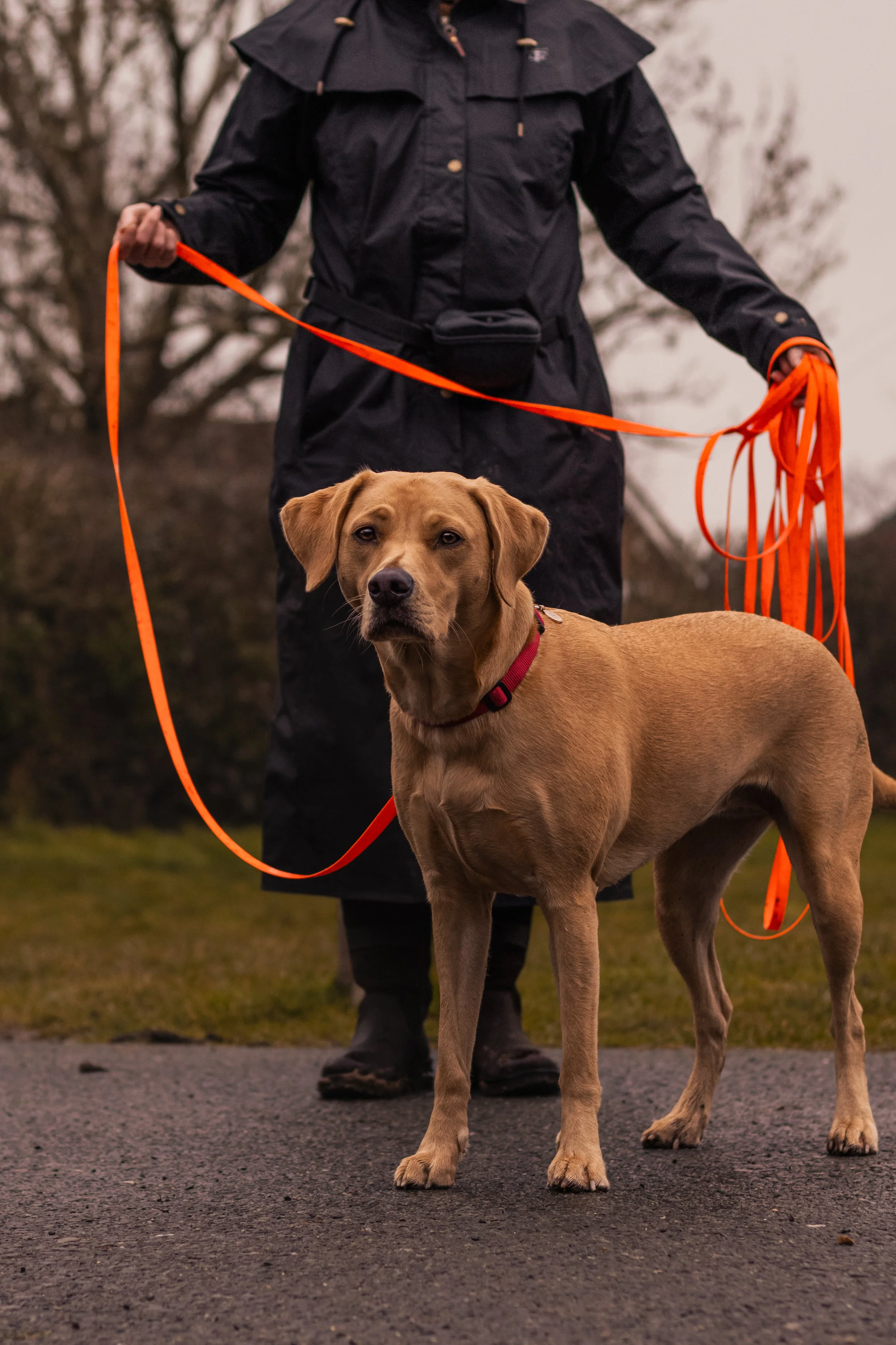 A person in a black raincoat holding an orange leash with a tan guide dog standing on a paved path outdoors.