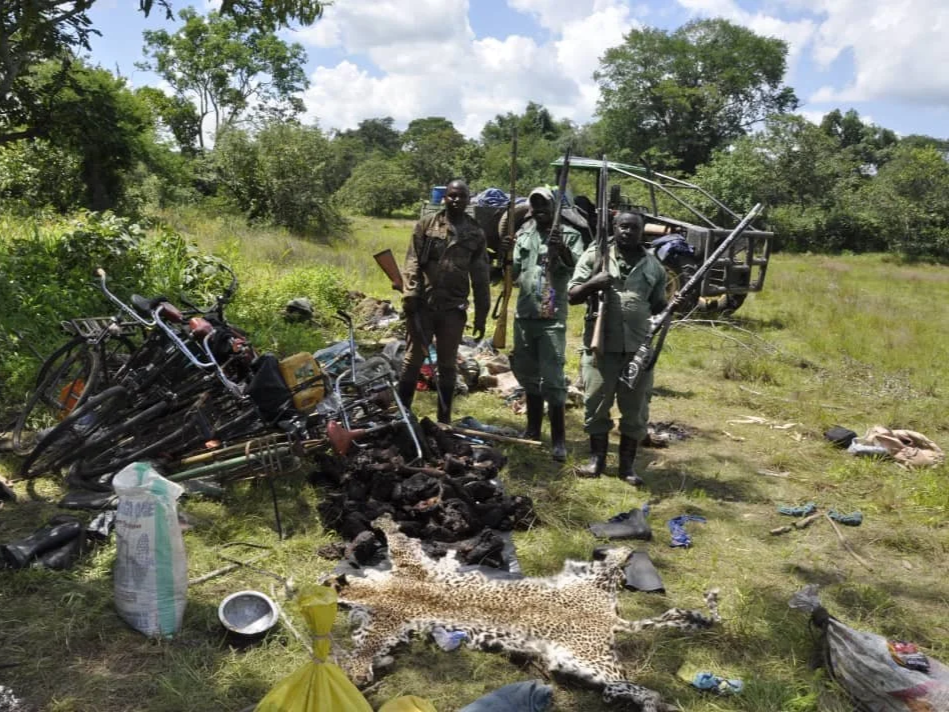 Four men stand outdoors near wreckage of a crashed vehicle and a pile of burned objects, with a dead leopard in the foreground and a cart in the background under a partly cloudy sky.
