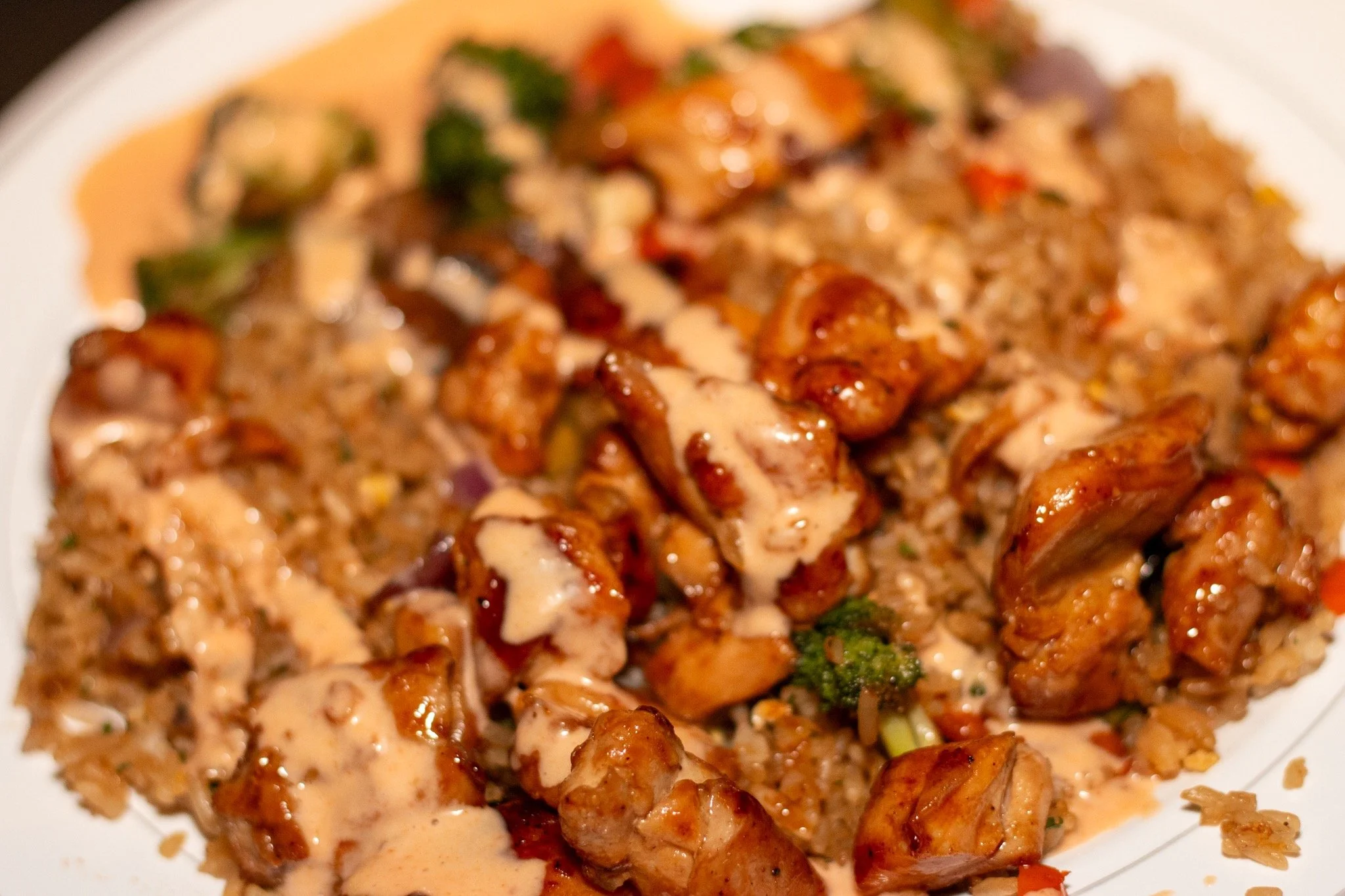 Close-up of a plate of saucy chicken and rice with vegetables.