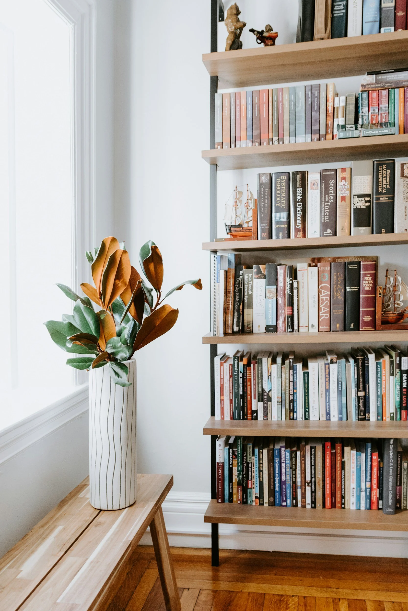 Warm library with bookshelves