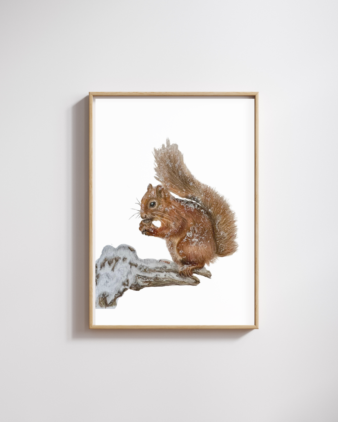 Squirrel Wall Art Print