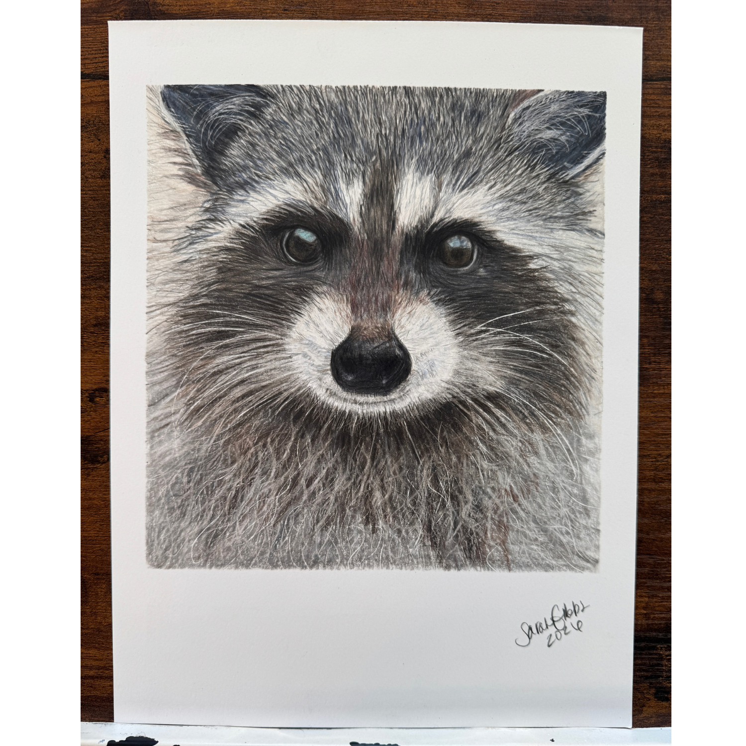 raccoon art original.png
