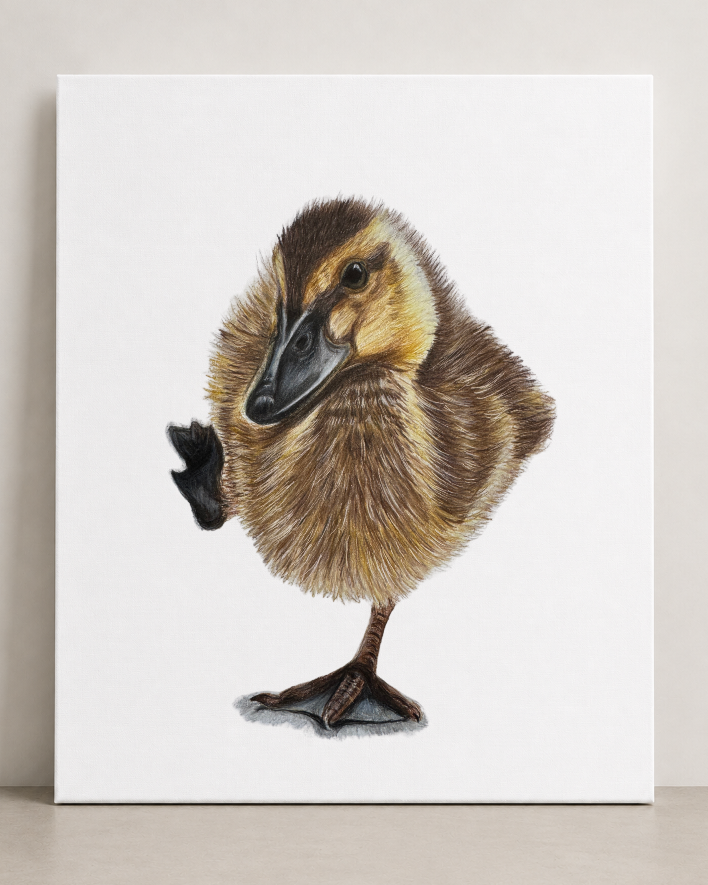 Duckling Canvas