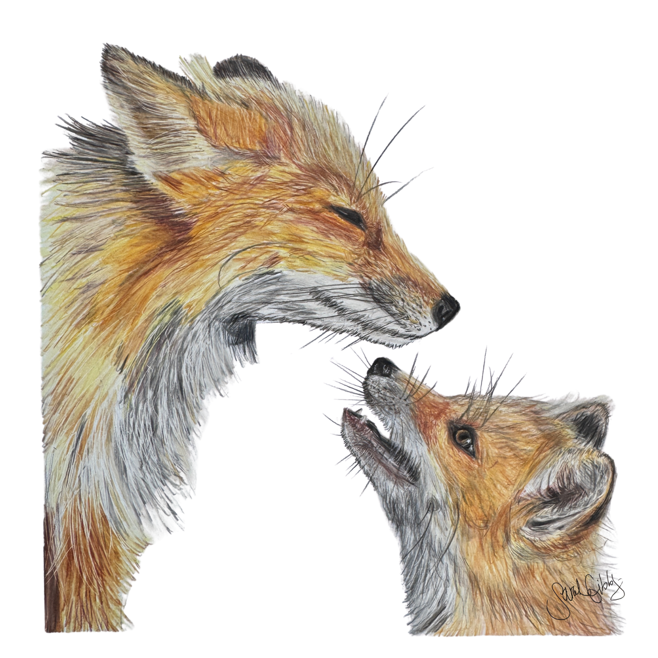 Fox Mom and Pup Art Print Universal Thumbnail.png