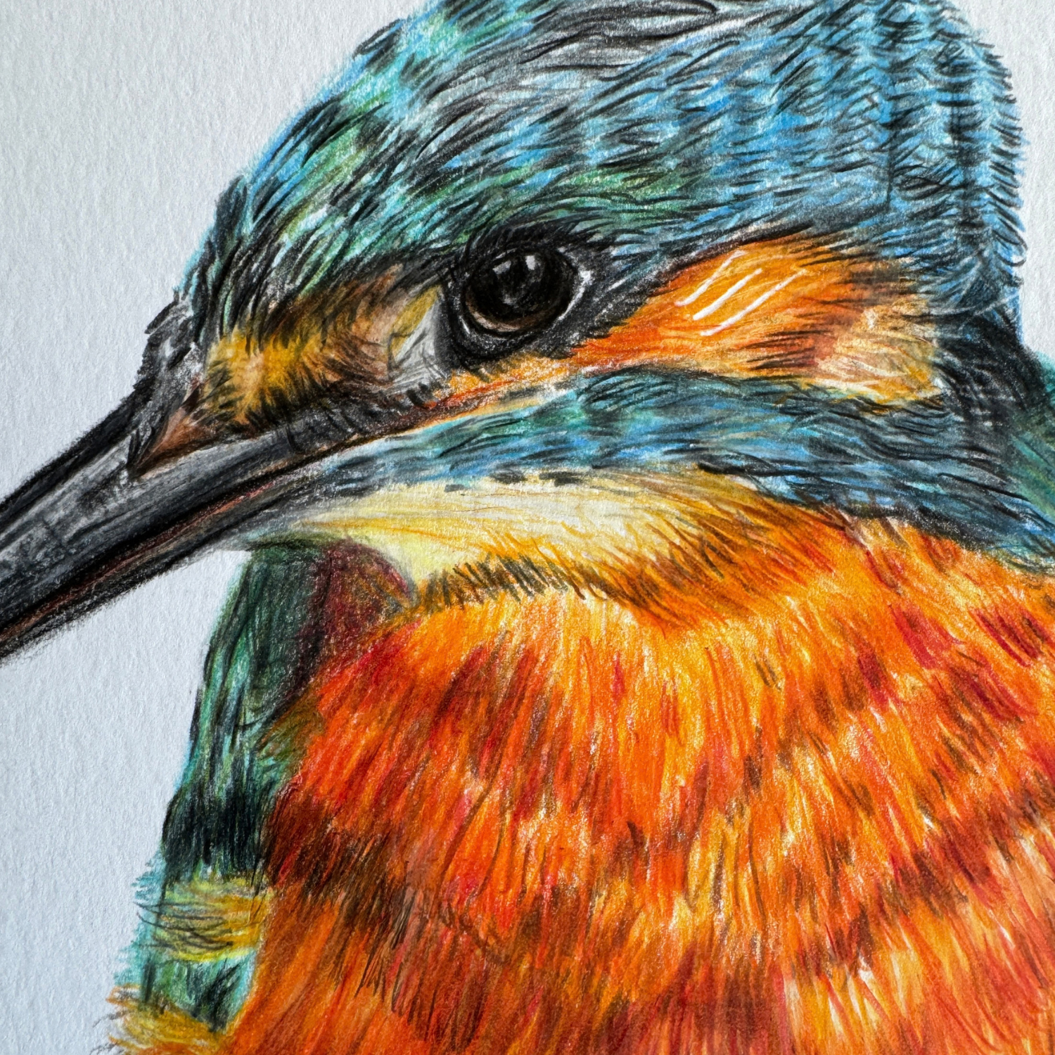 kingfisher art.png