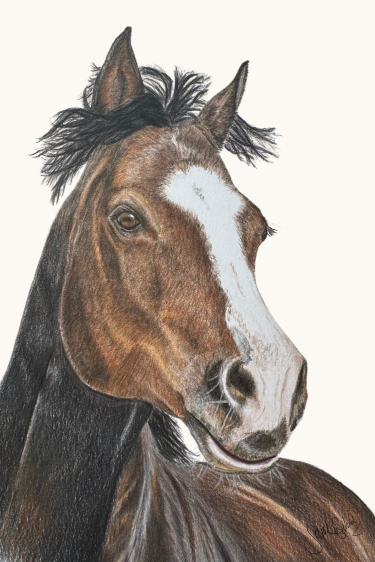 Horse Universal Thumbnail.png
