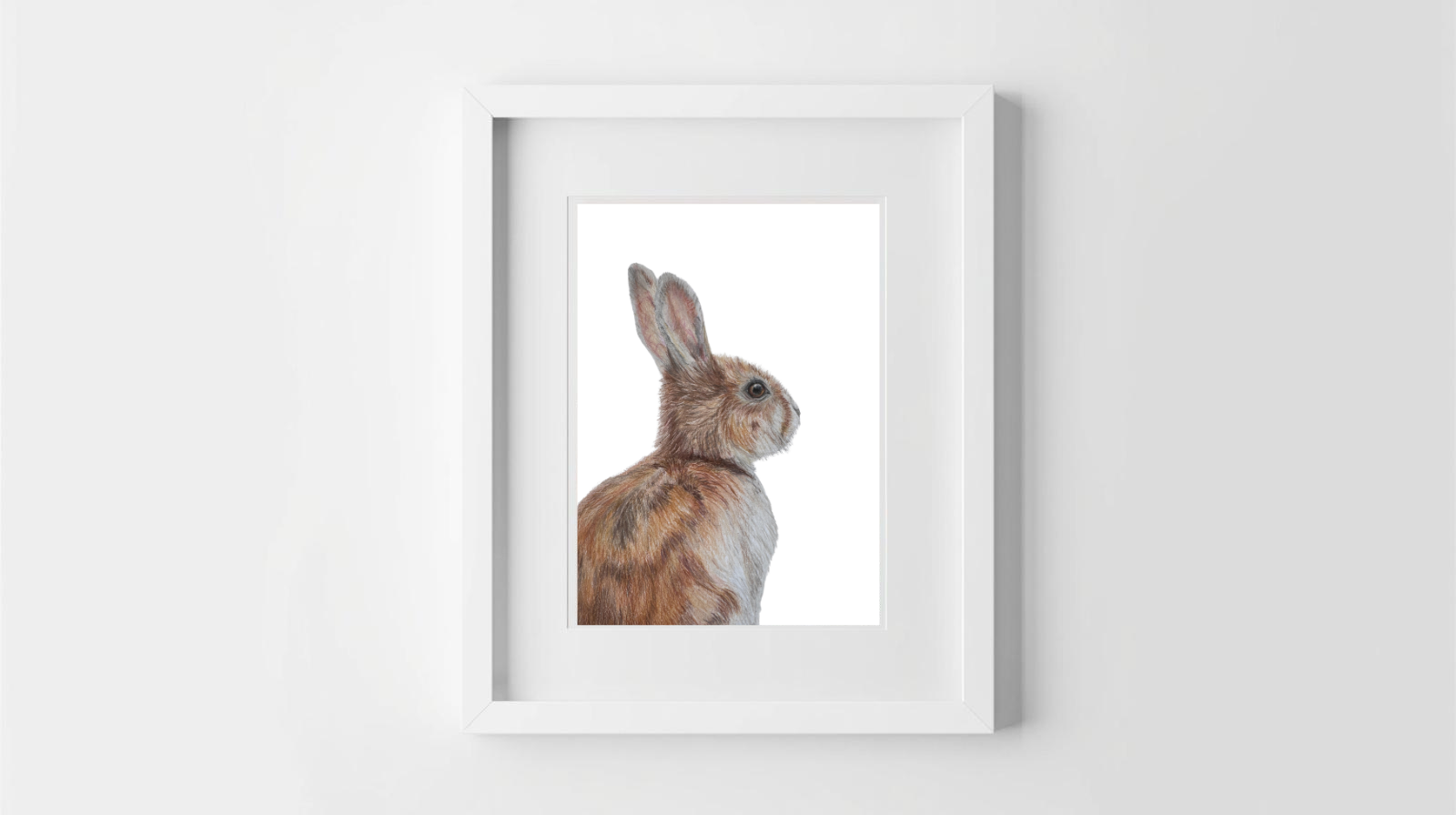 Rabbit Frame CAI 2.png
