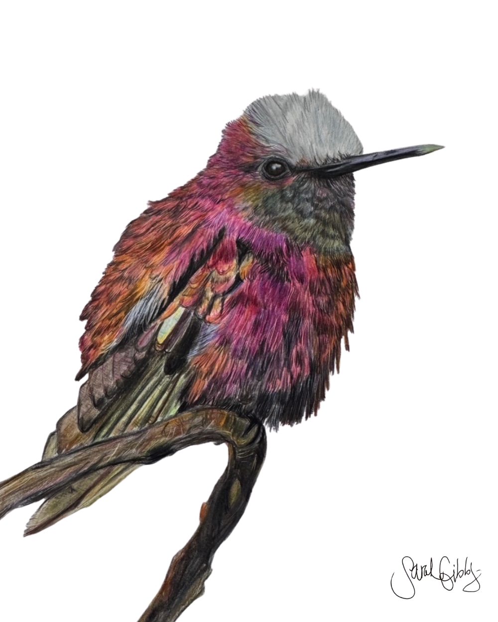 Carol Snowtuft Hunnimgbird Print Thumbnail.png