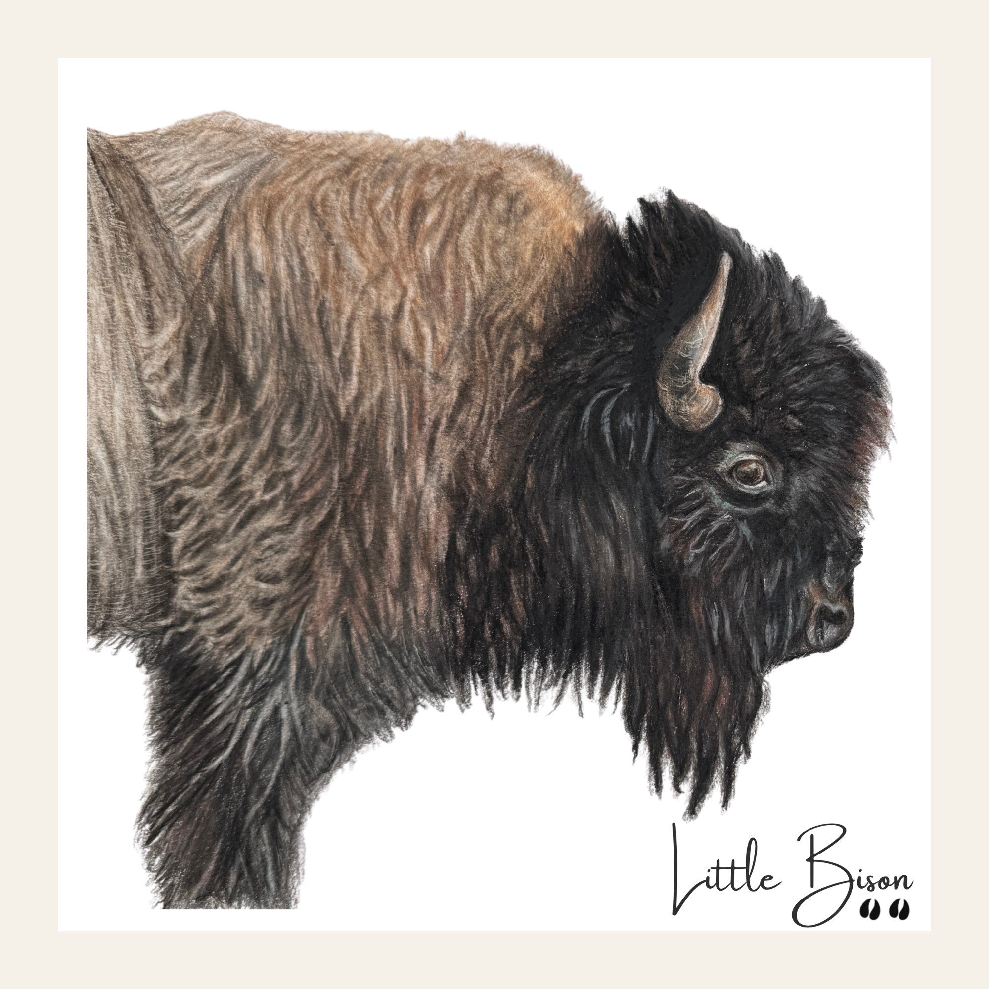 Bison - Little Print