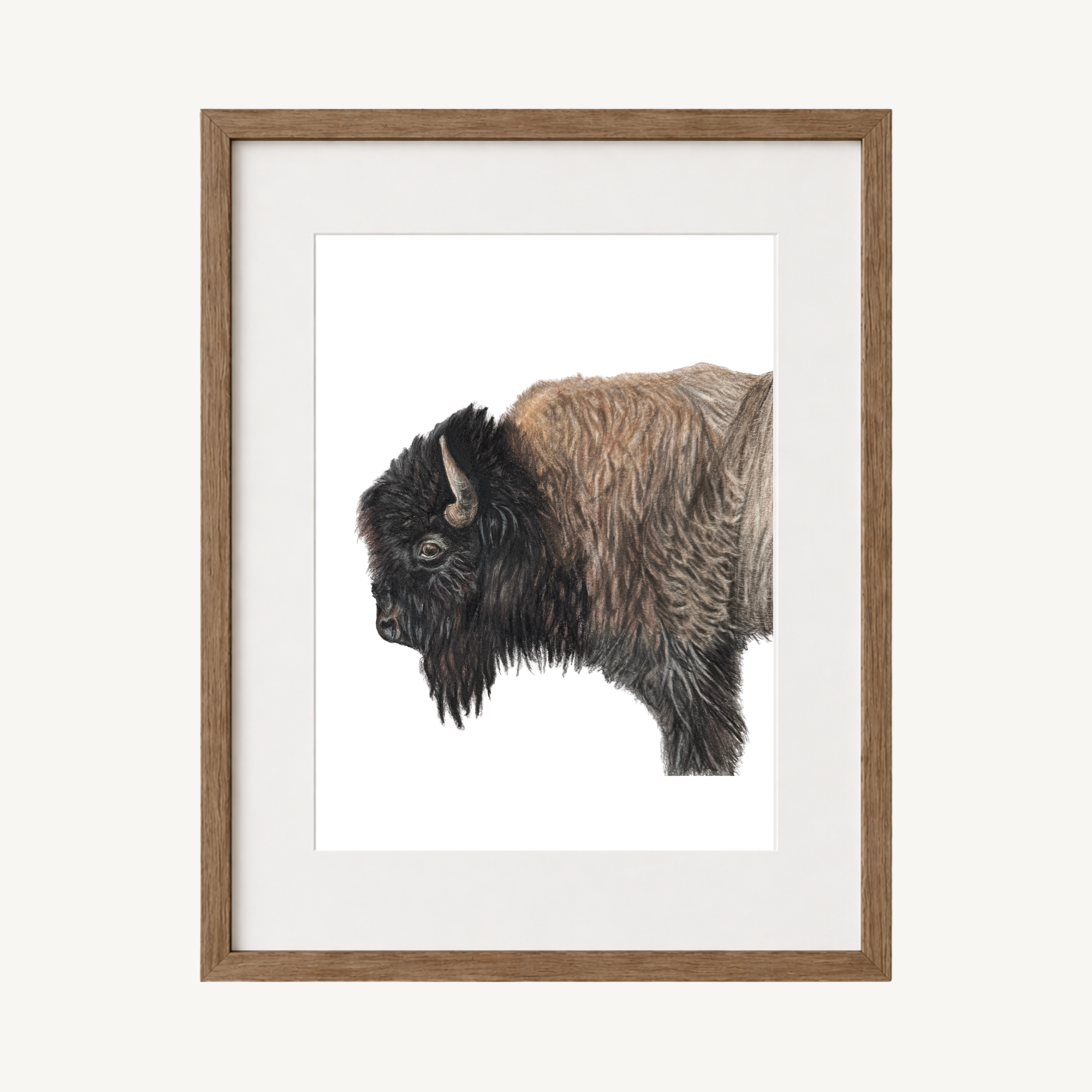 Bison Art Print