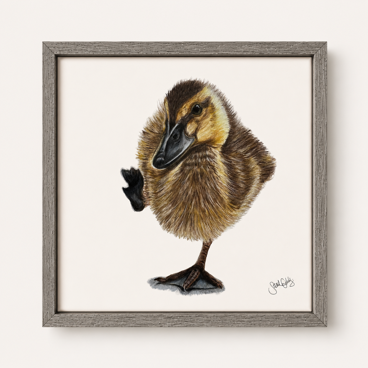 Duckling Canvas