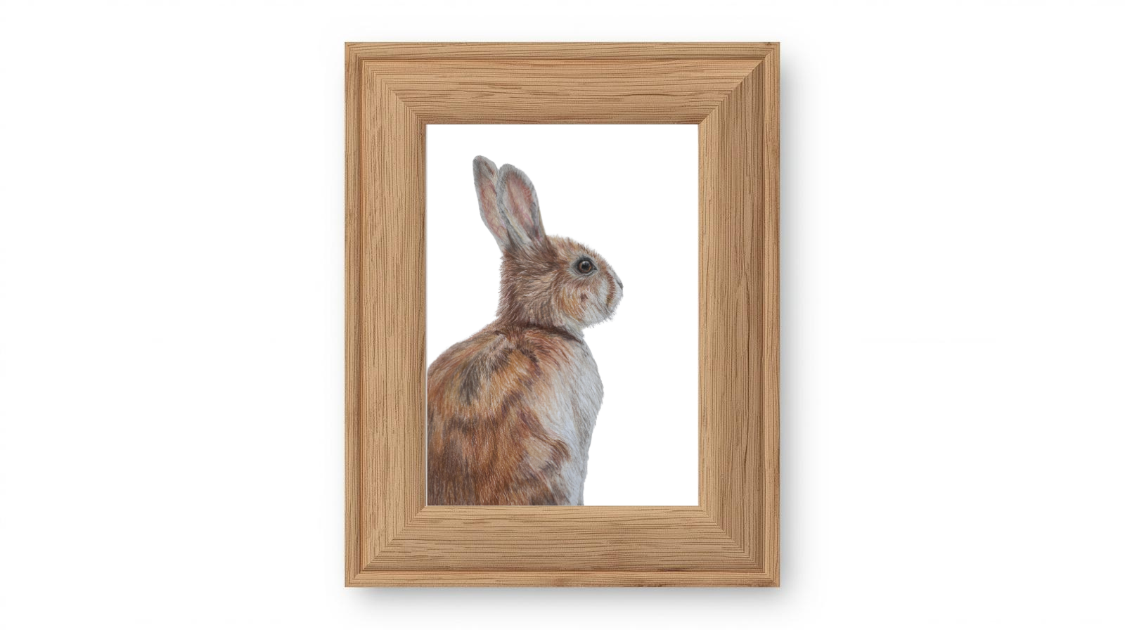 Rabbit Frame CAI.png