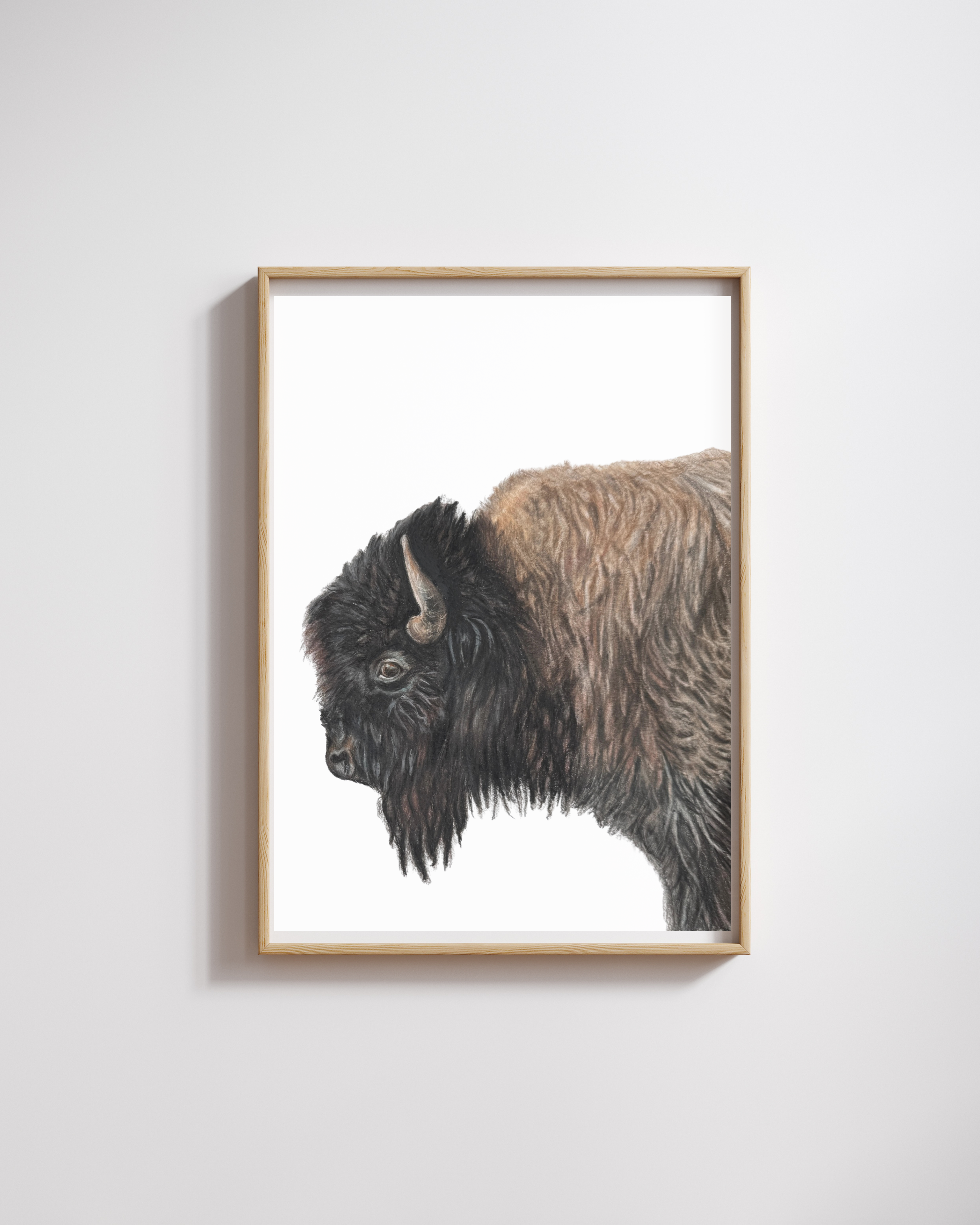 Bison Wall Art Print