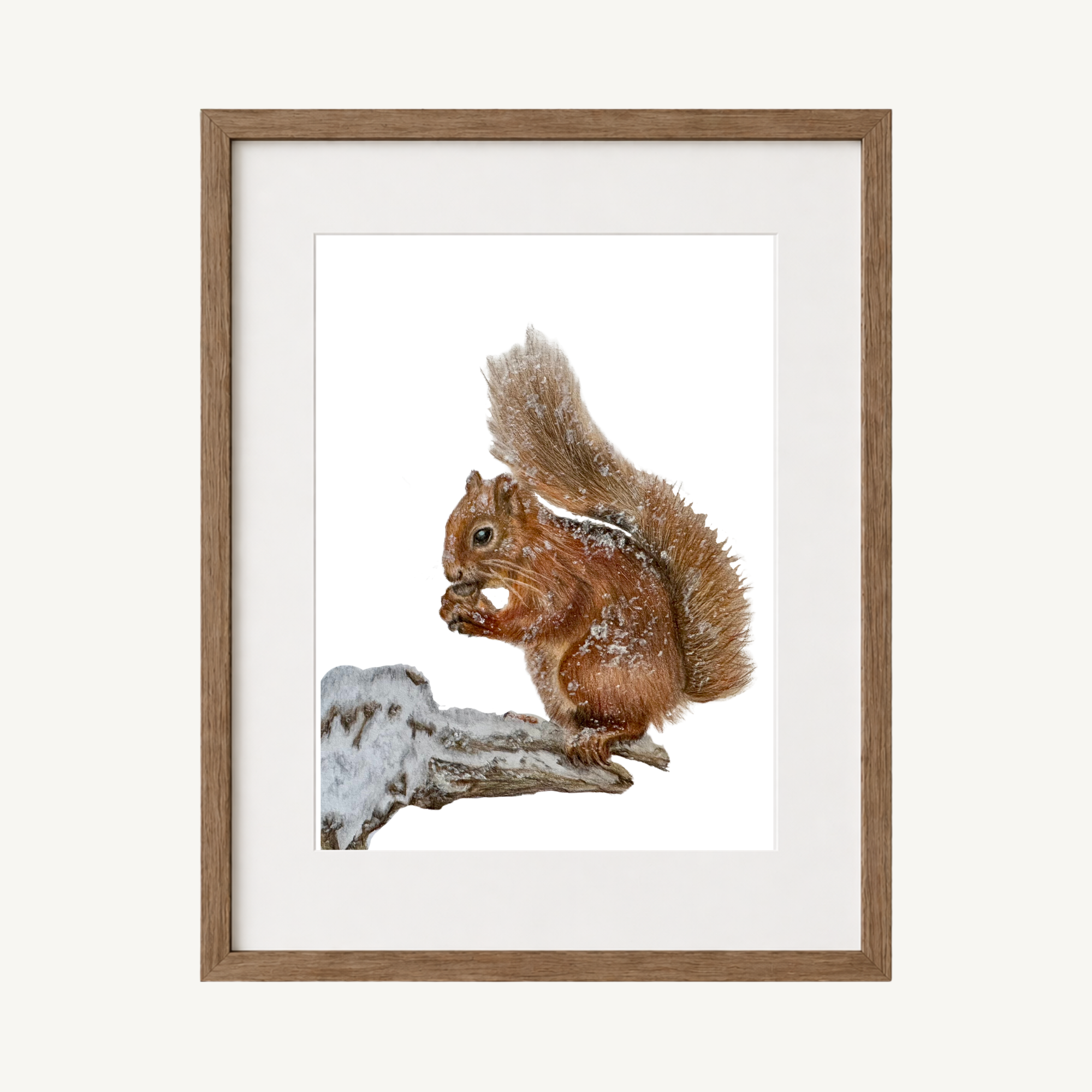 Squirrel Art Print