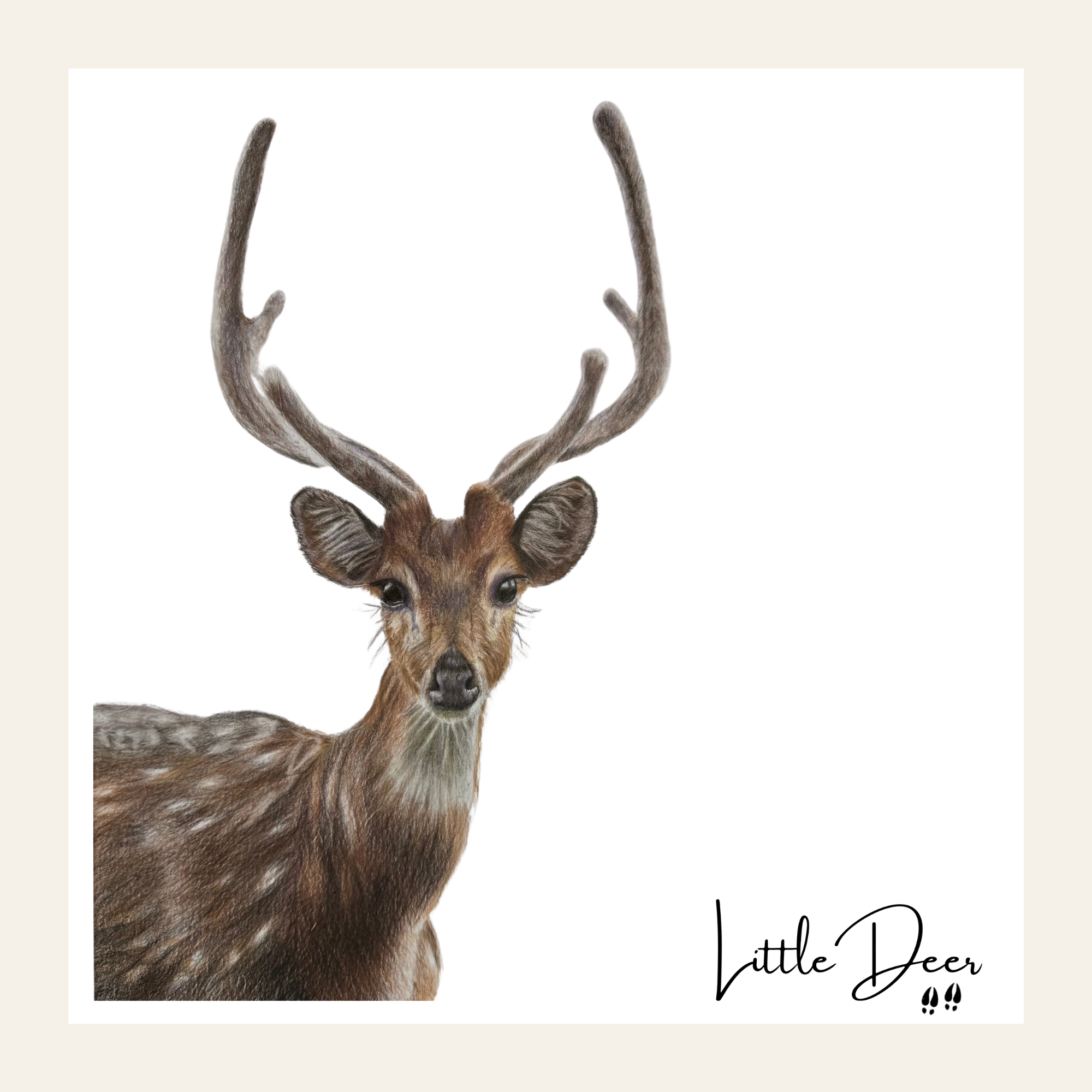 Deer - Little Print