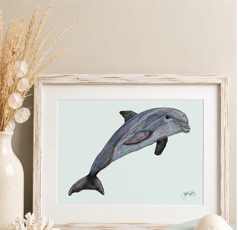 Dolphin Artwork