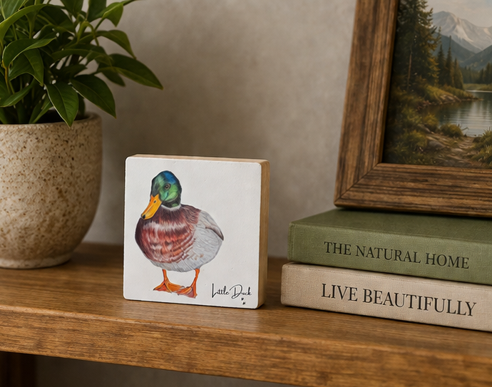 mallard duck little 2.png