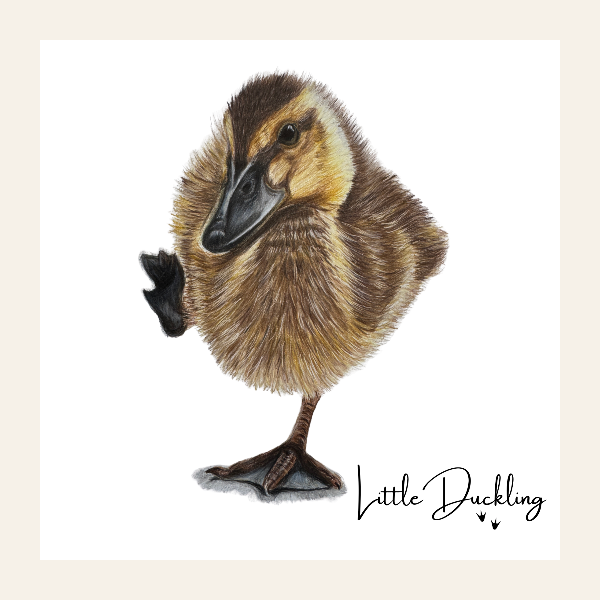 Duckling - Little Print