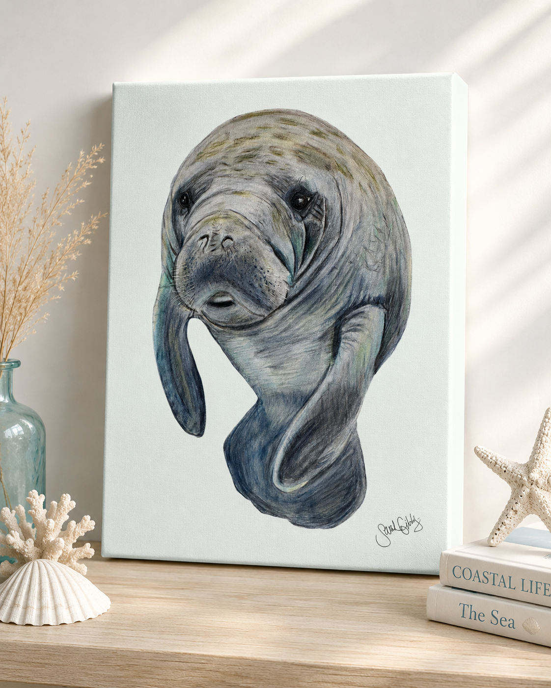 Manatee Canvas.png