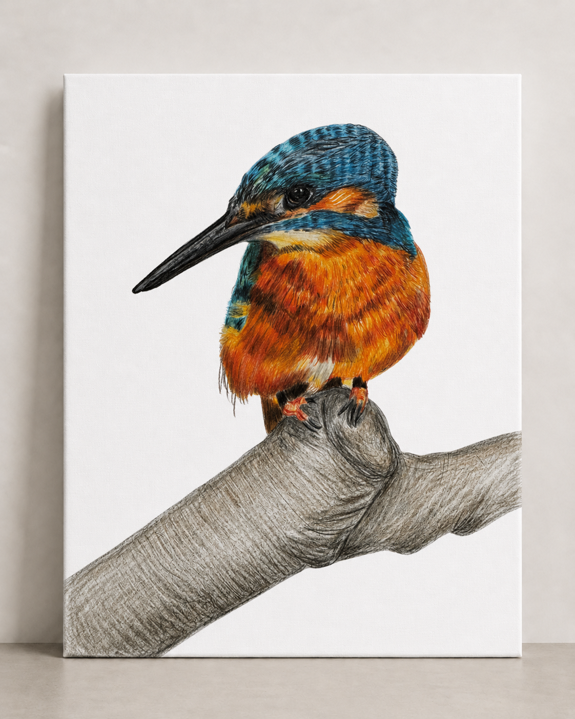Kingfisher Canvas