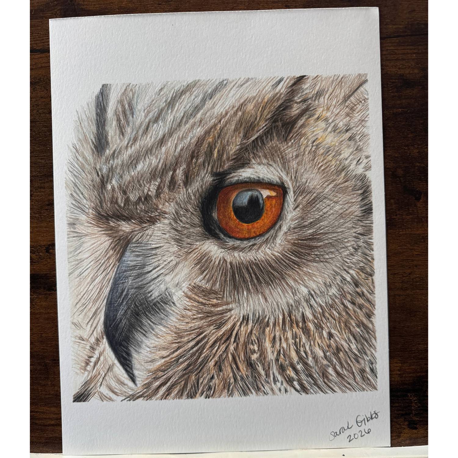 close eye owl art.png