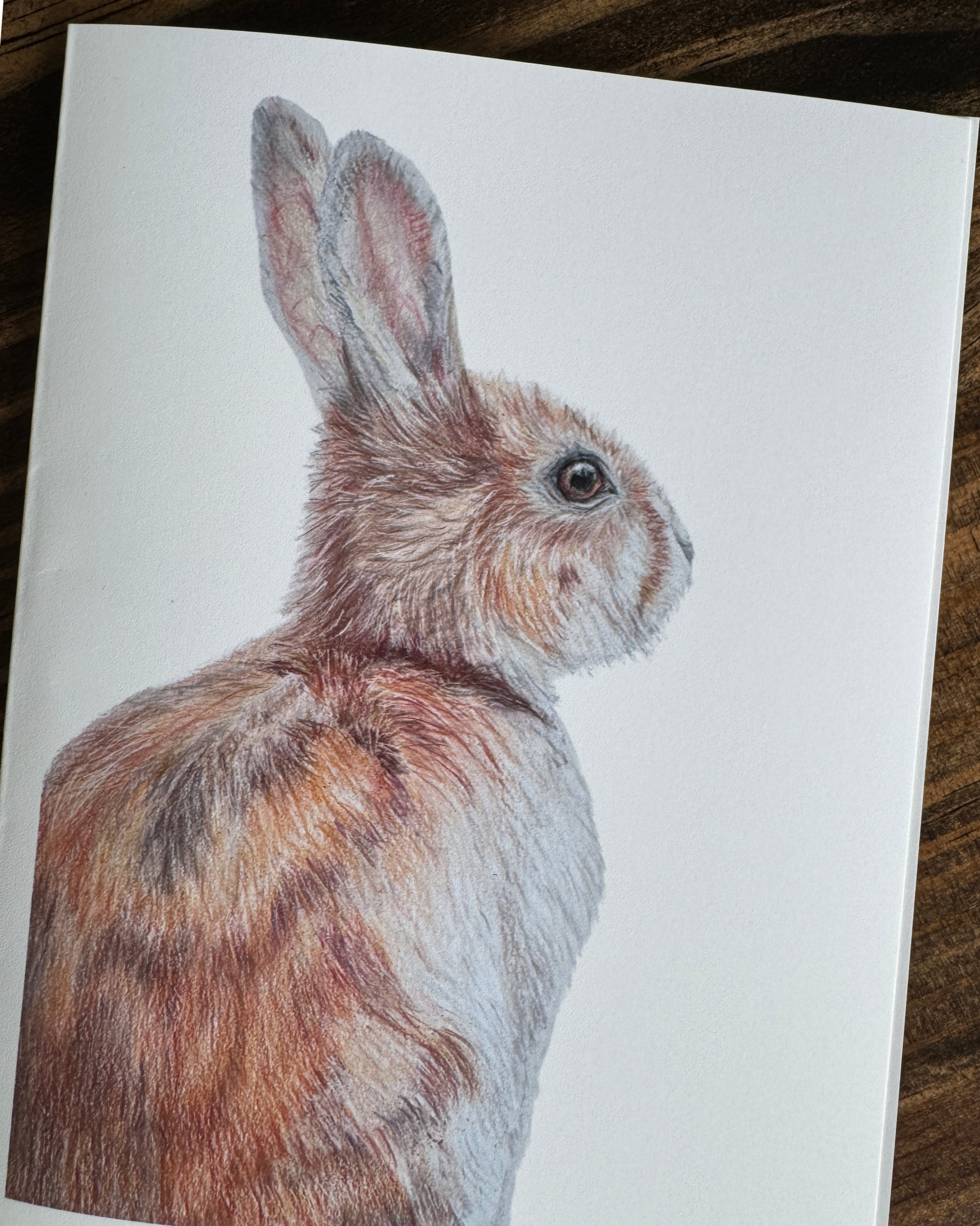 Rabbit Greeting Card