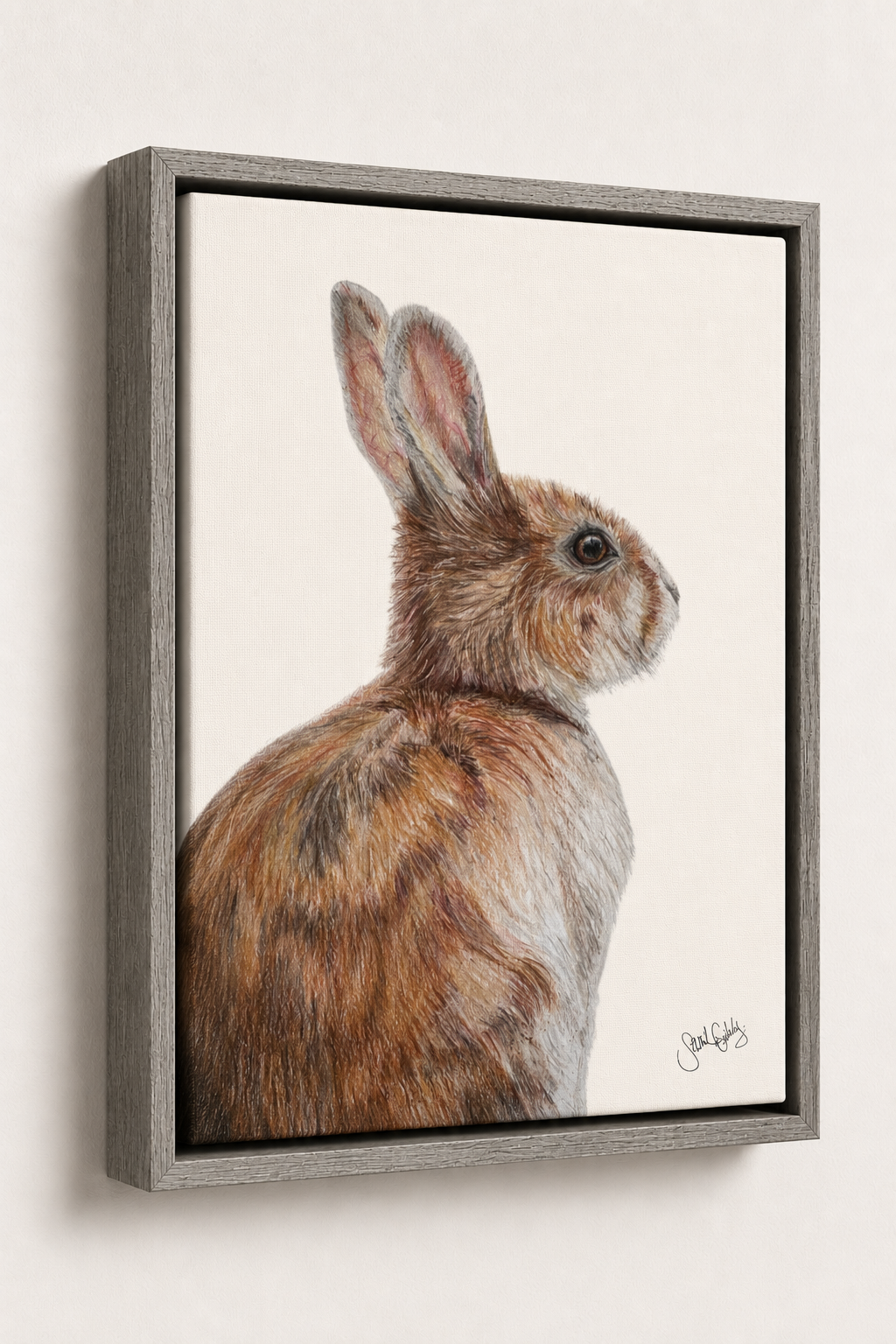 Rabbit Gray Canvas Frame.png