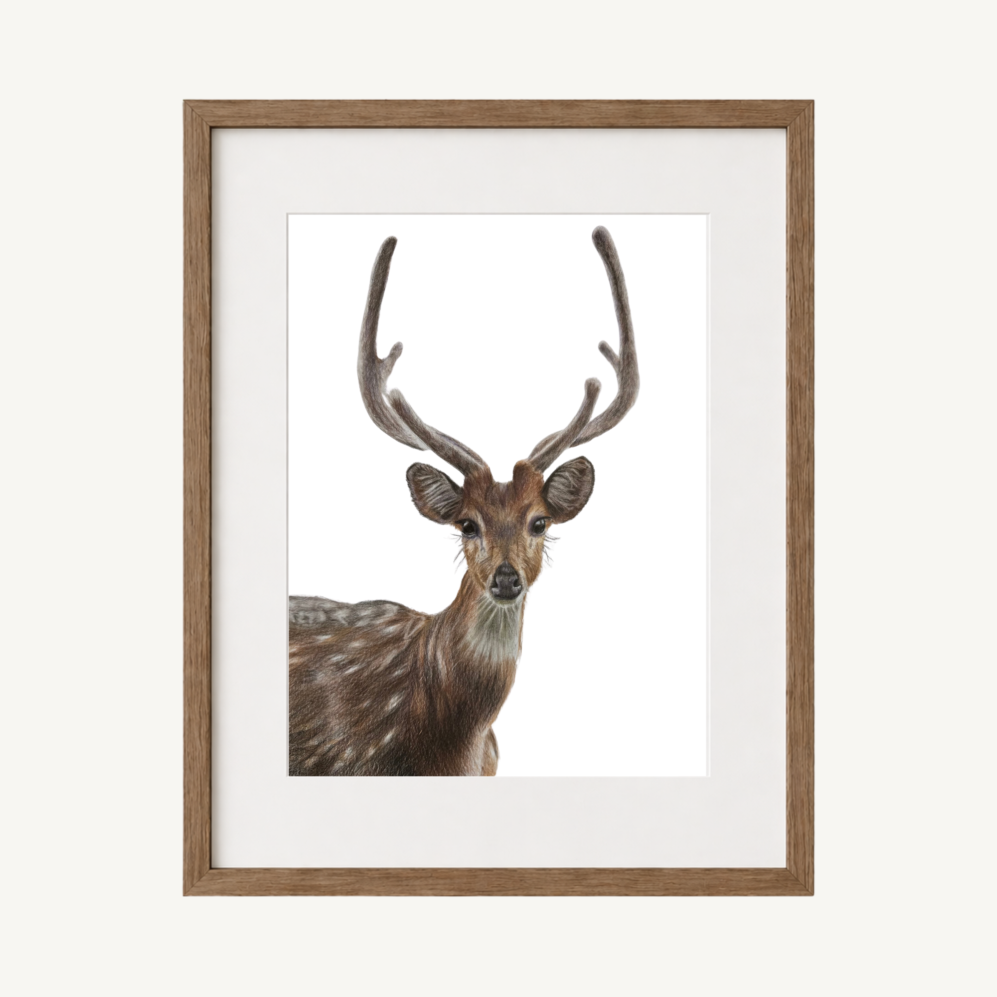 Deer Art Print