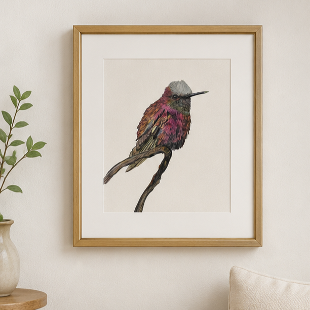 Snowtuft Colorful Hummingbird Art